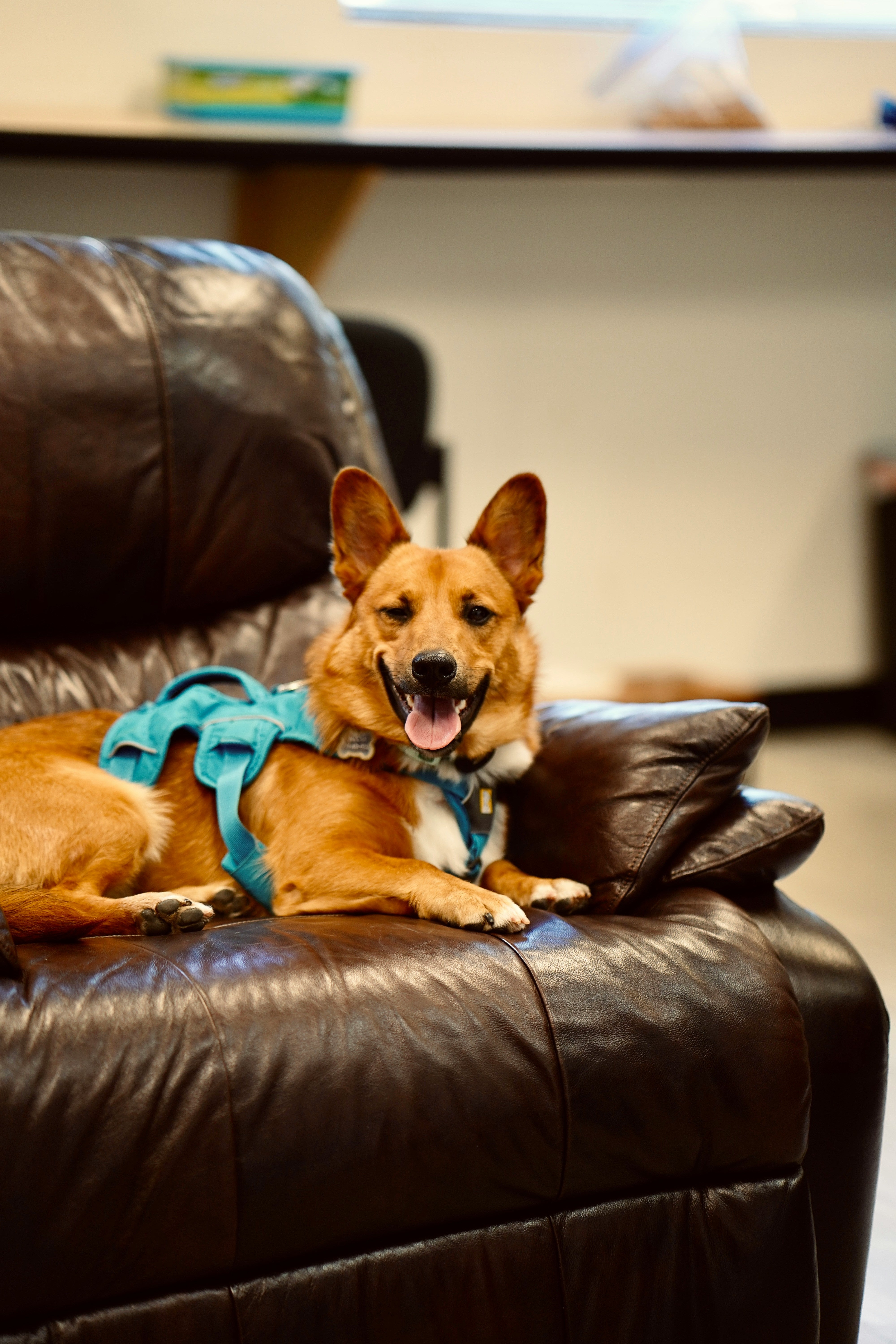 The Ultimate Comfort: Discover the Benefits of a 28-Inch Wide Recliner Chair for Your Living Space