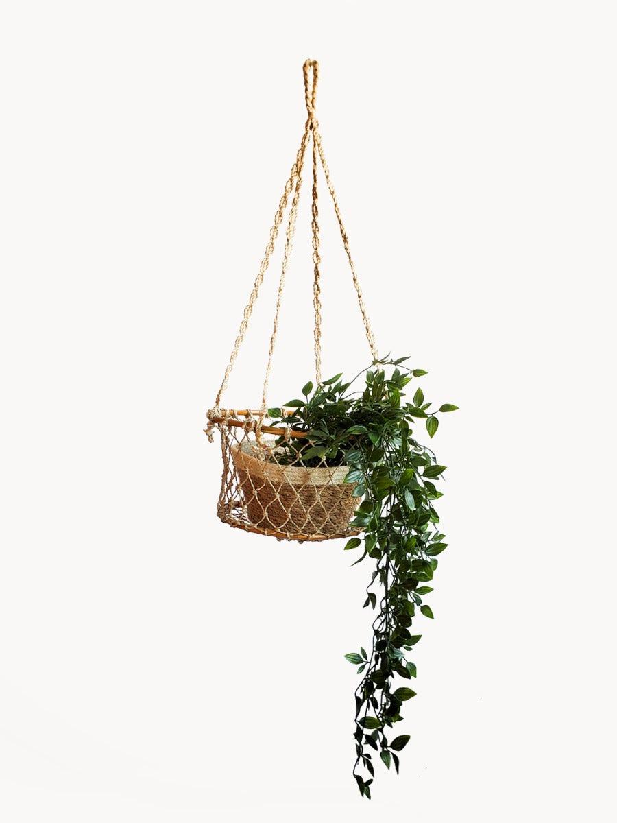Jhuri Single Hanging Basket - PRHOMZ