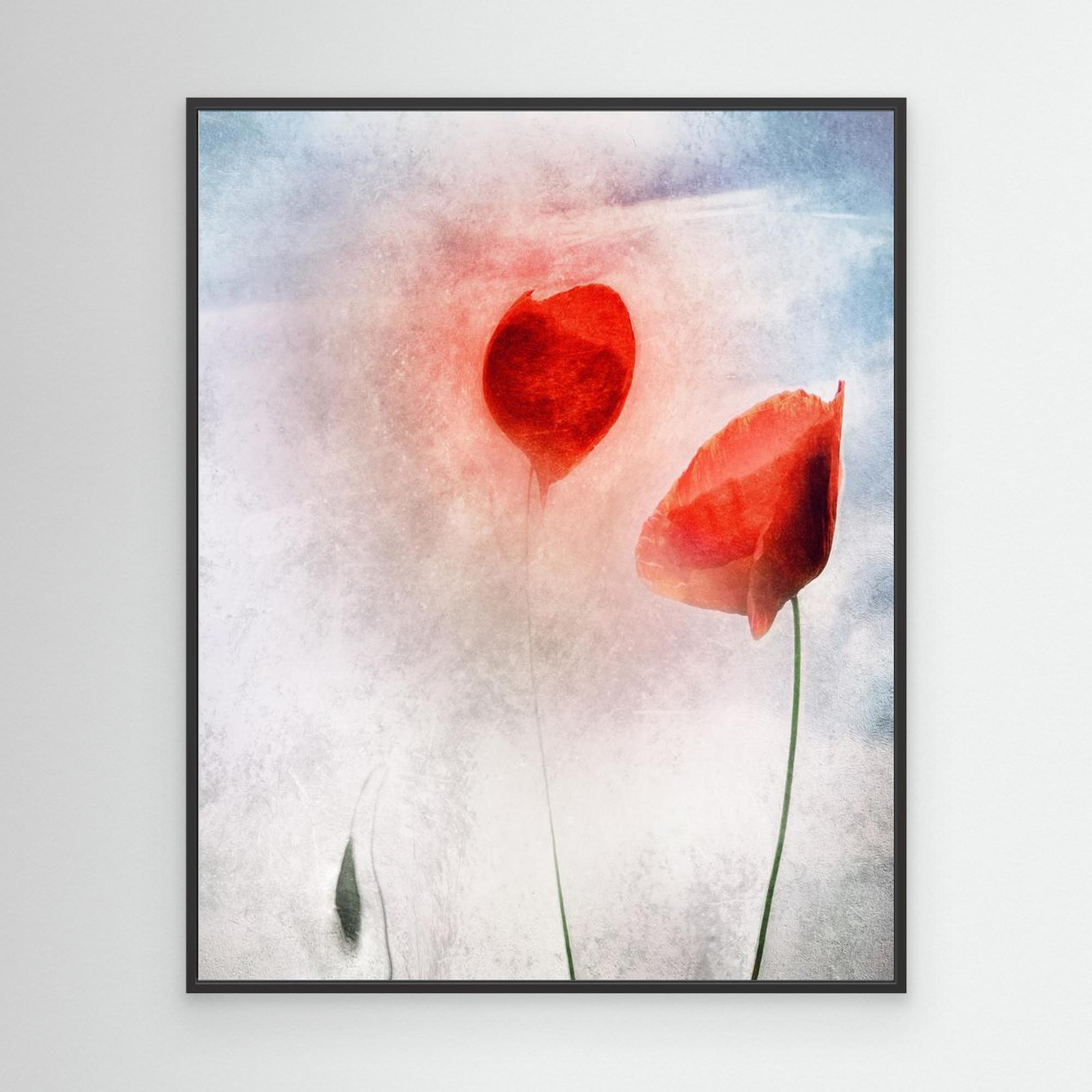 In Flanders Fields by Gilbert Claes