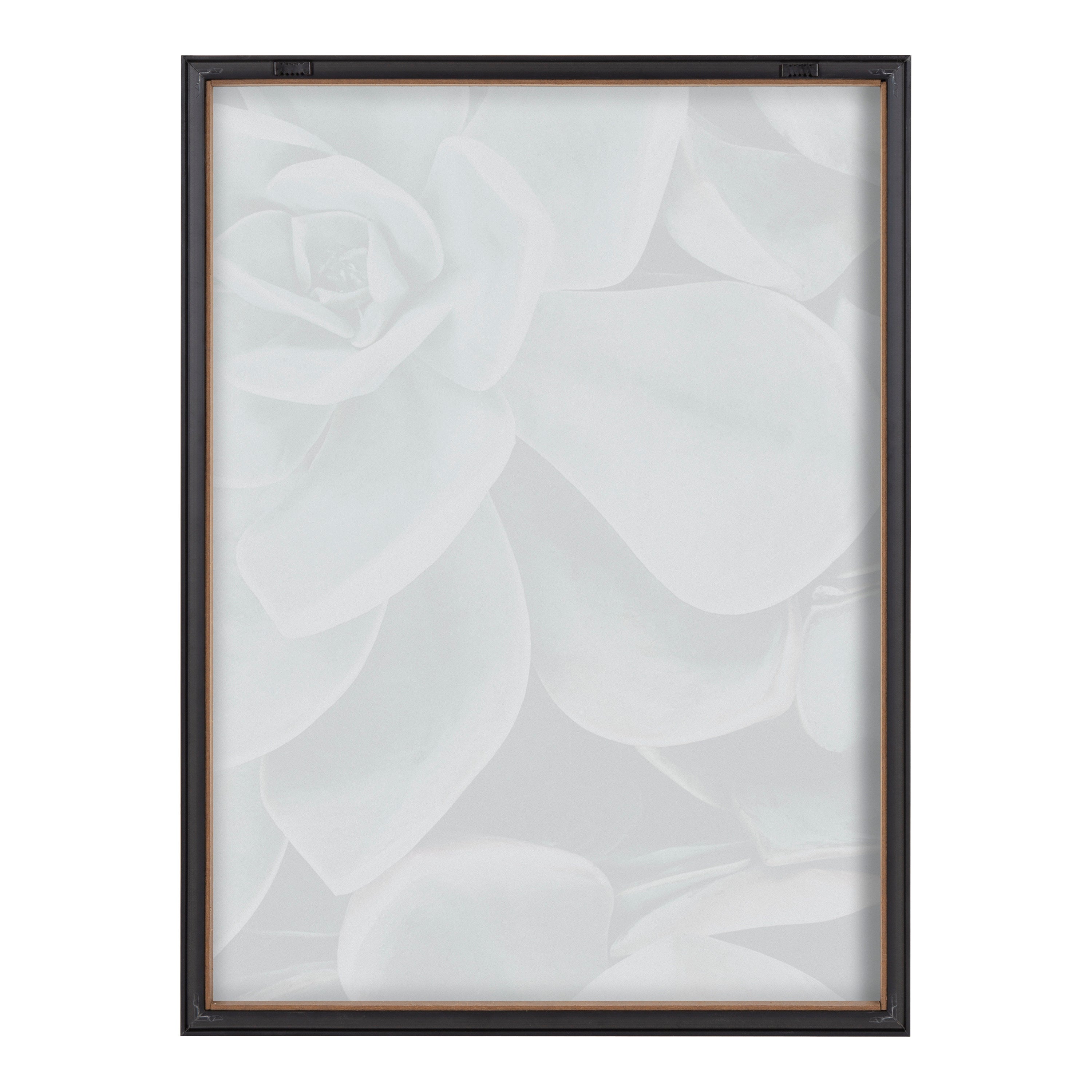 Blake Botanical Succulent Plants 2 Framed Printed Glass by The Creative Bunch Studio