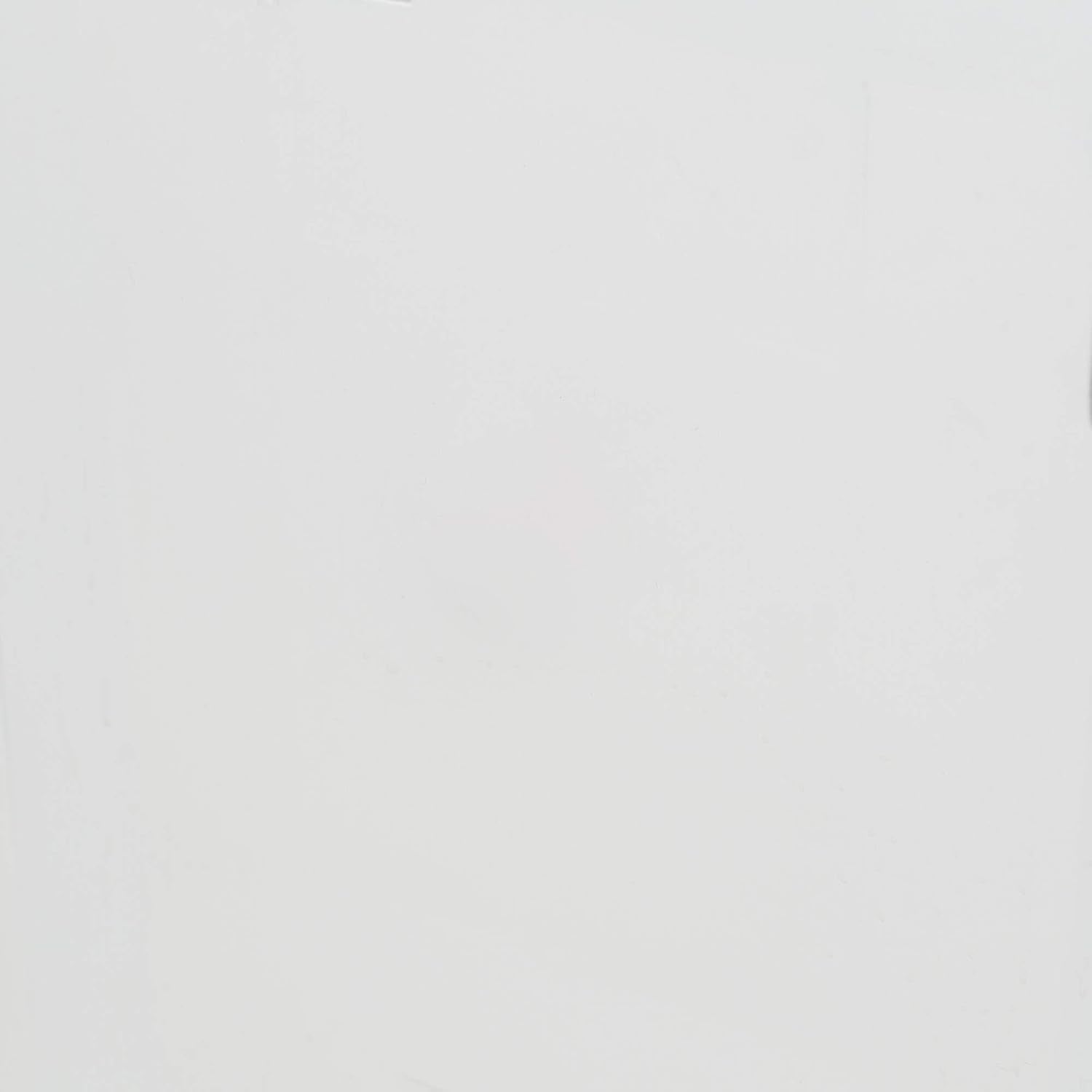 52 Inch White 2 Tier Modern Farmhouse Wood Bookcase Bookshelf for Home Office Storage Cabinet