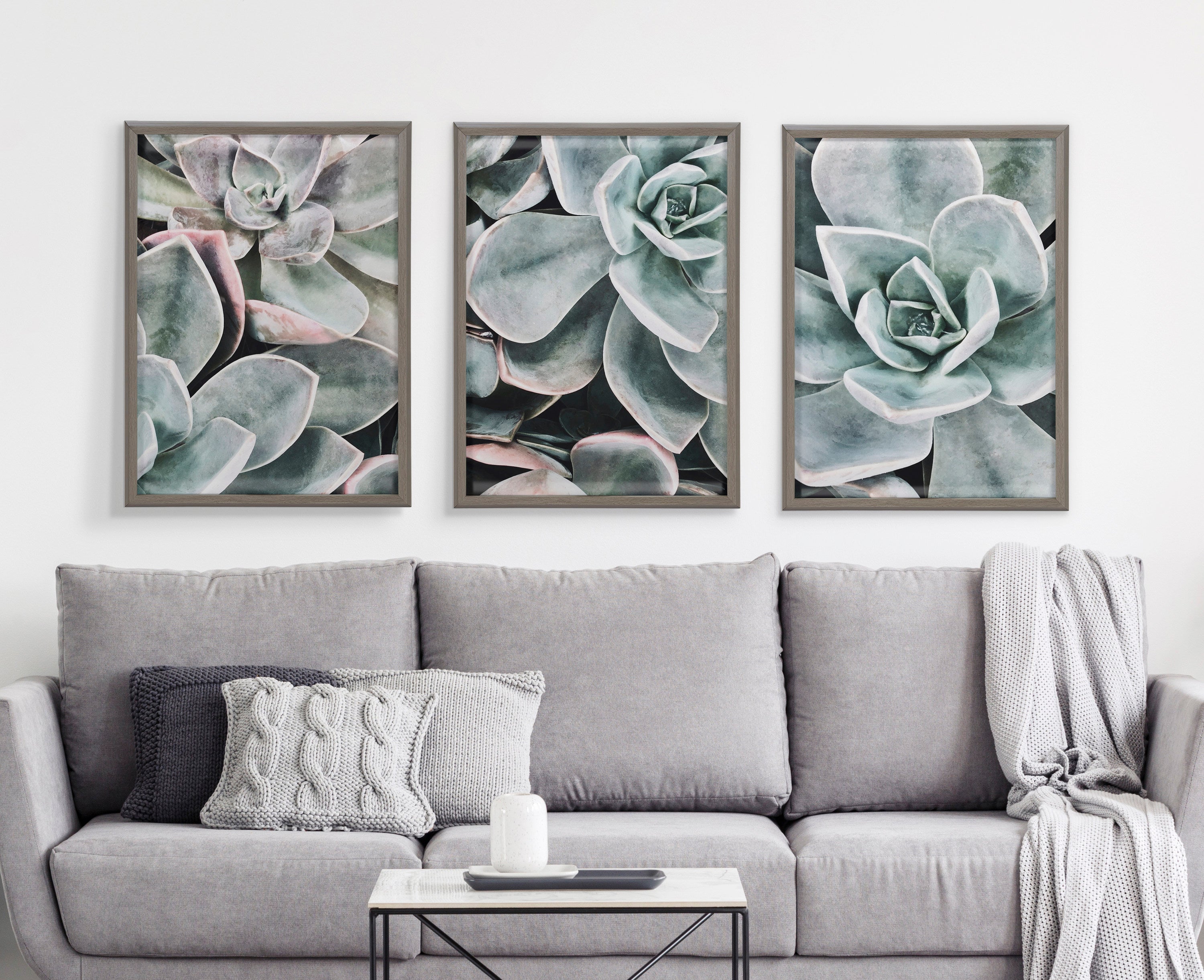 Blake Botanical Succulent Plants 2 Framed Printed Glass by The Creative Bunch Studio