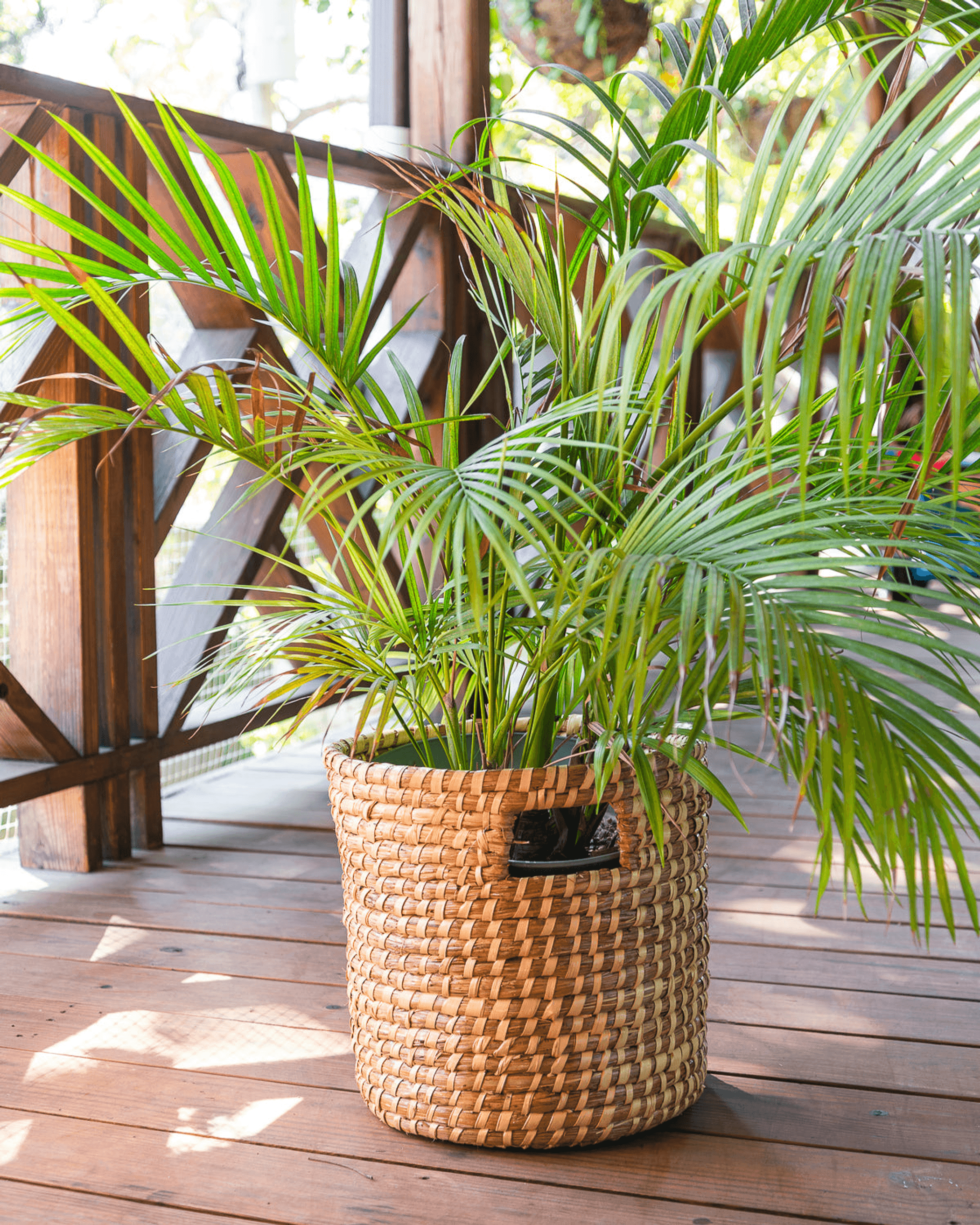 Rustic Tall Woven Baskets With Handles - Set Of Two - PRHOMZ