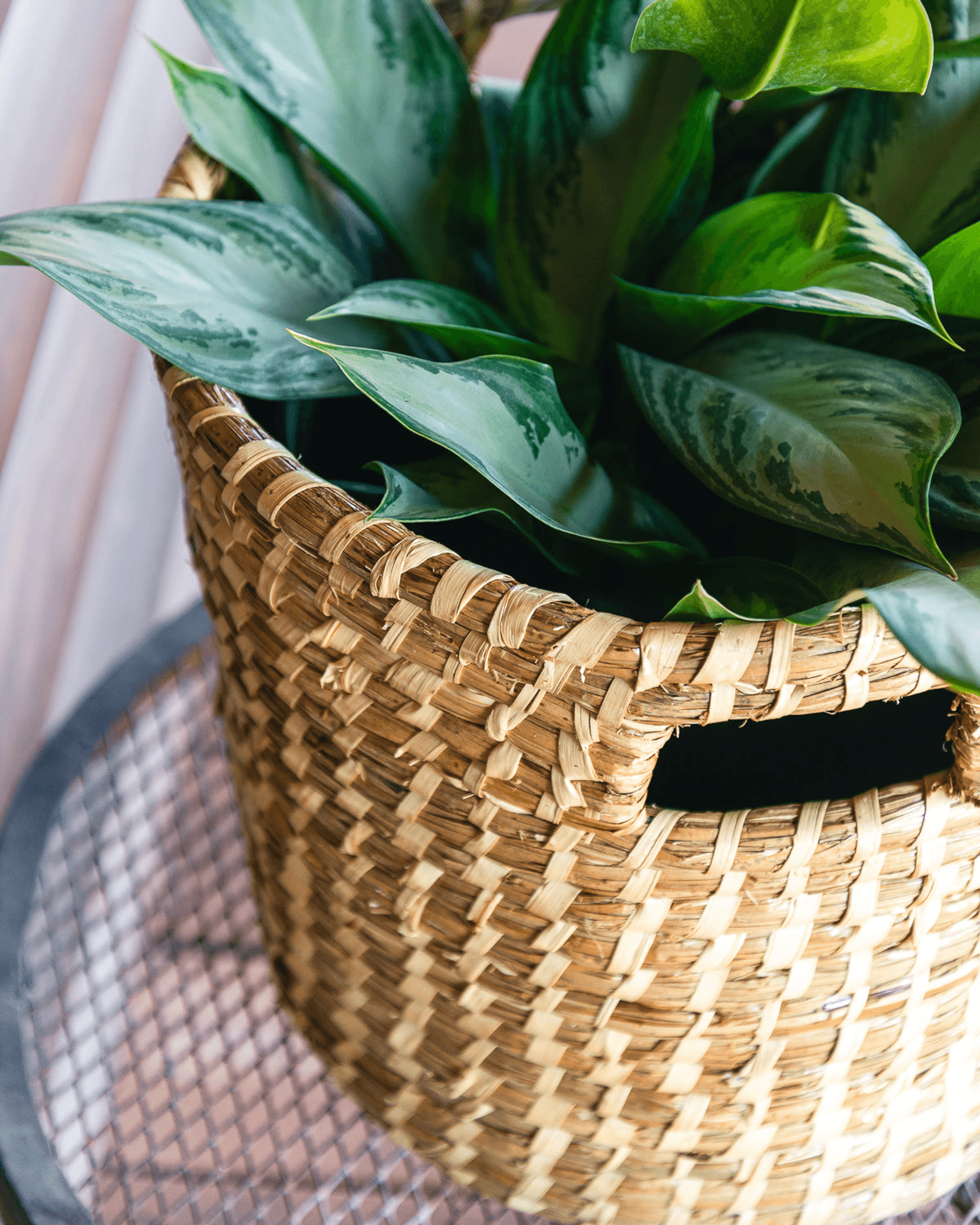 Rustic Tall Woven Baskets With Handles - Set Of Two - PRHOMZ