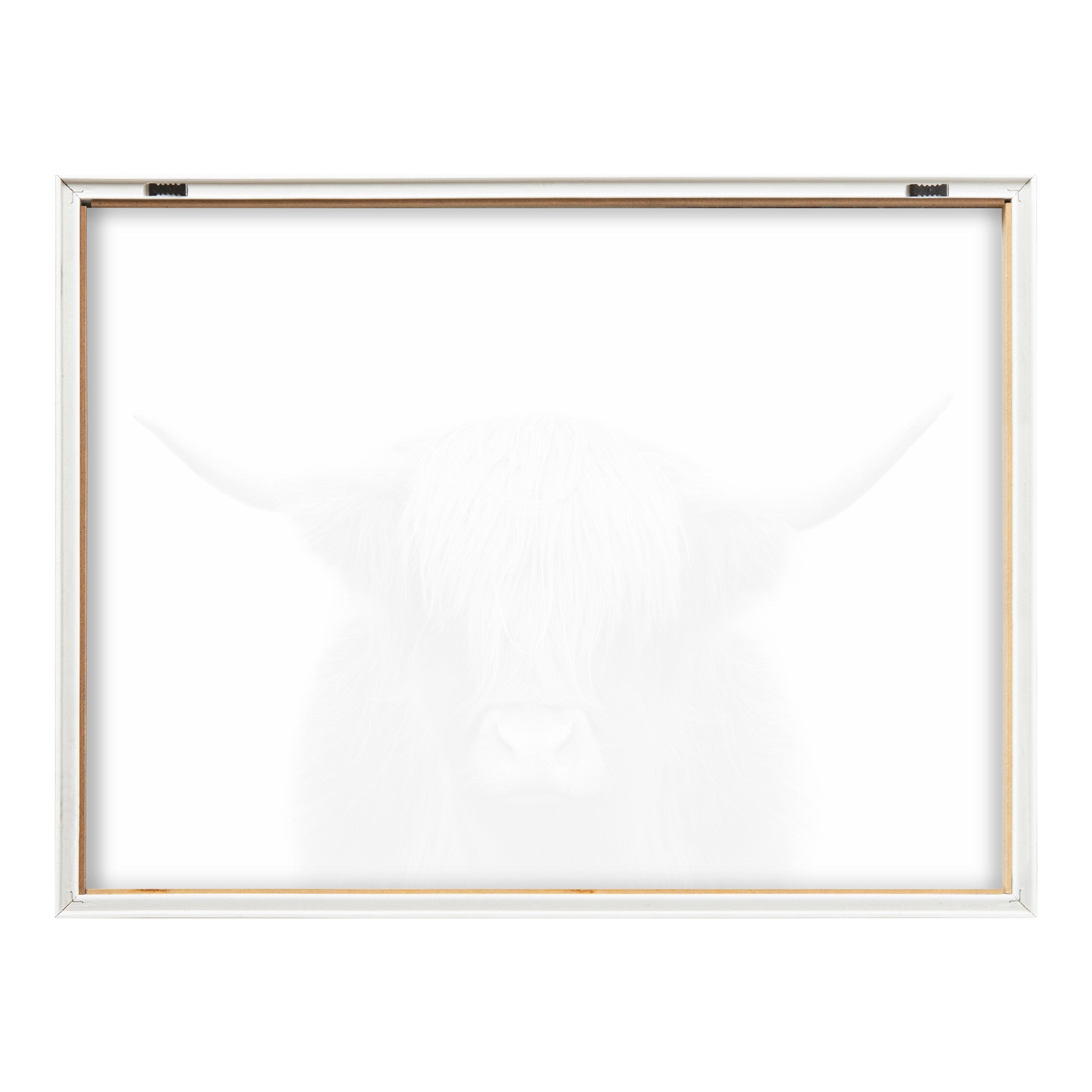 Blake Hey Dude Highland Cow Color Framed Printed Art by The Creative Bunch Studio