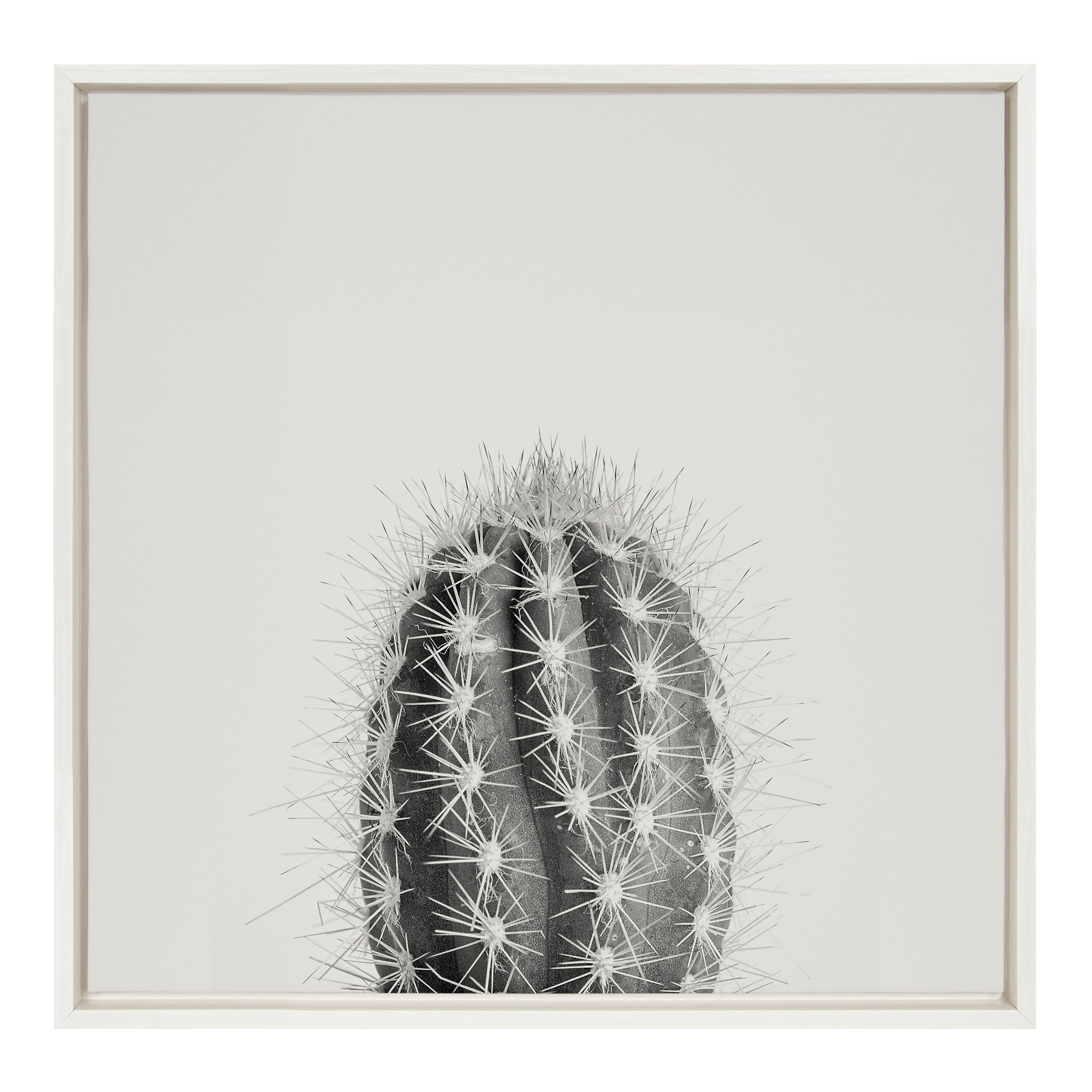 Sylvie Haze Cactus Succulent Tall Framed Canvas by The Creative Bunch Studio