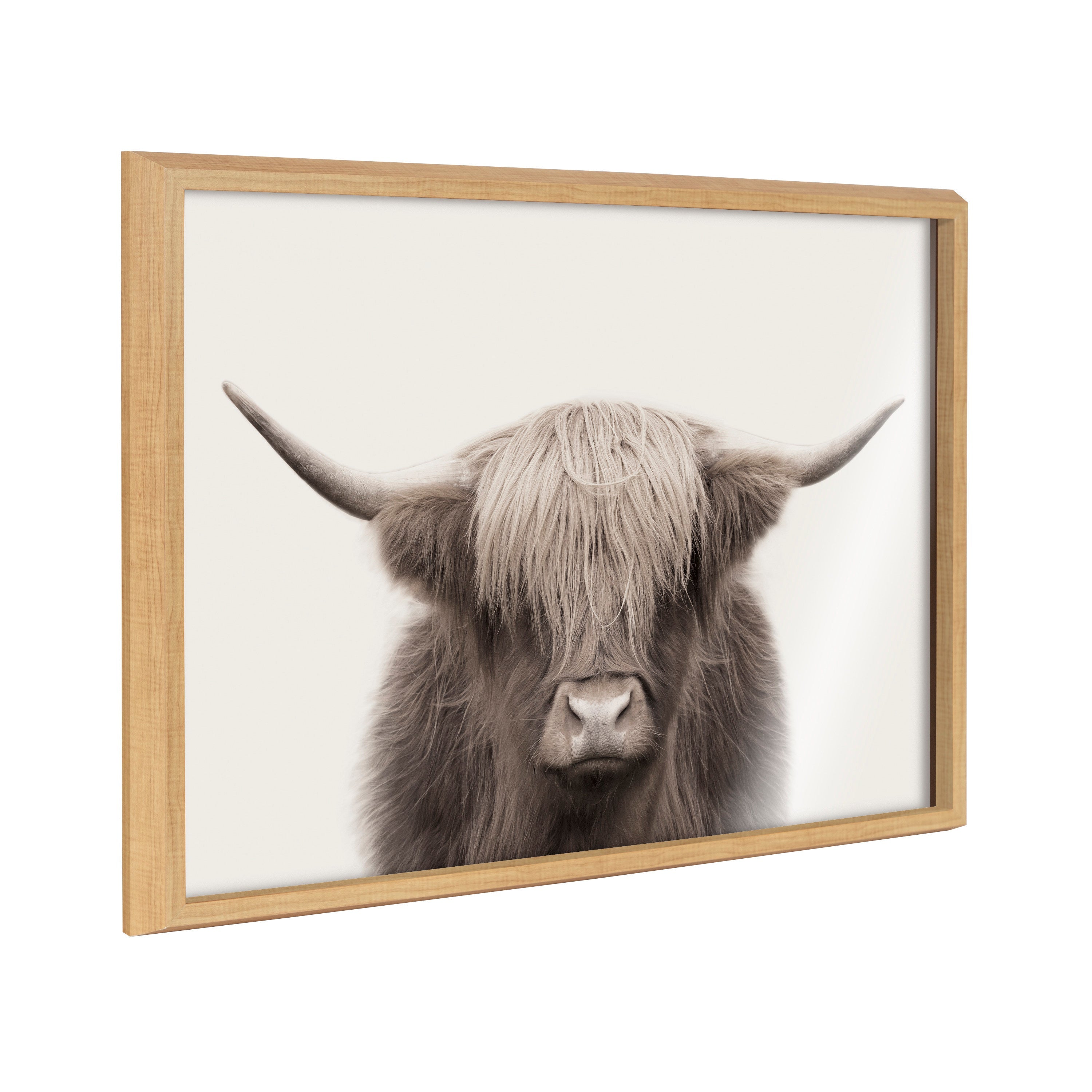 Blake Hey Dude Highland Cow Color Framed Printed Art by The Creative Bunch Studio