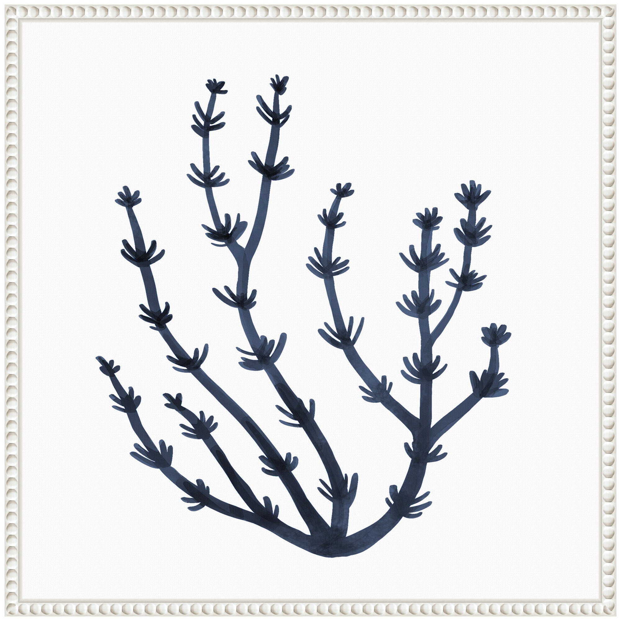 Sylvie Coastal Coral Seaweed Botanical 6 Framed Canvas by The Creative Bunch Studio