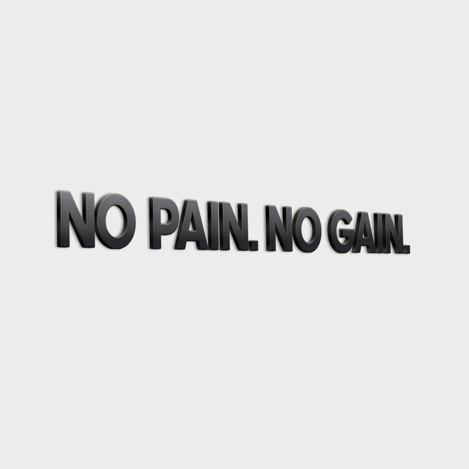 No Pain No Gain 3D Gym Wall Decor - PRHOMZ
