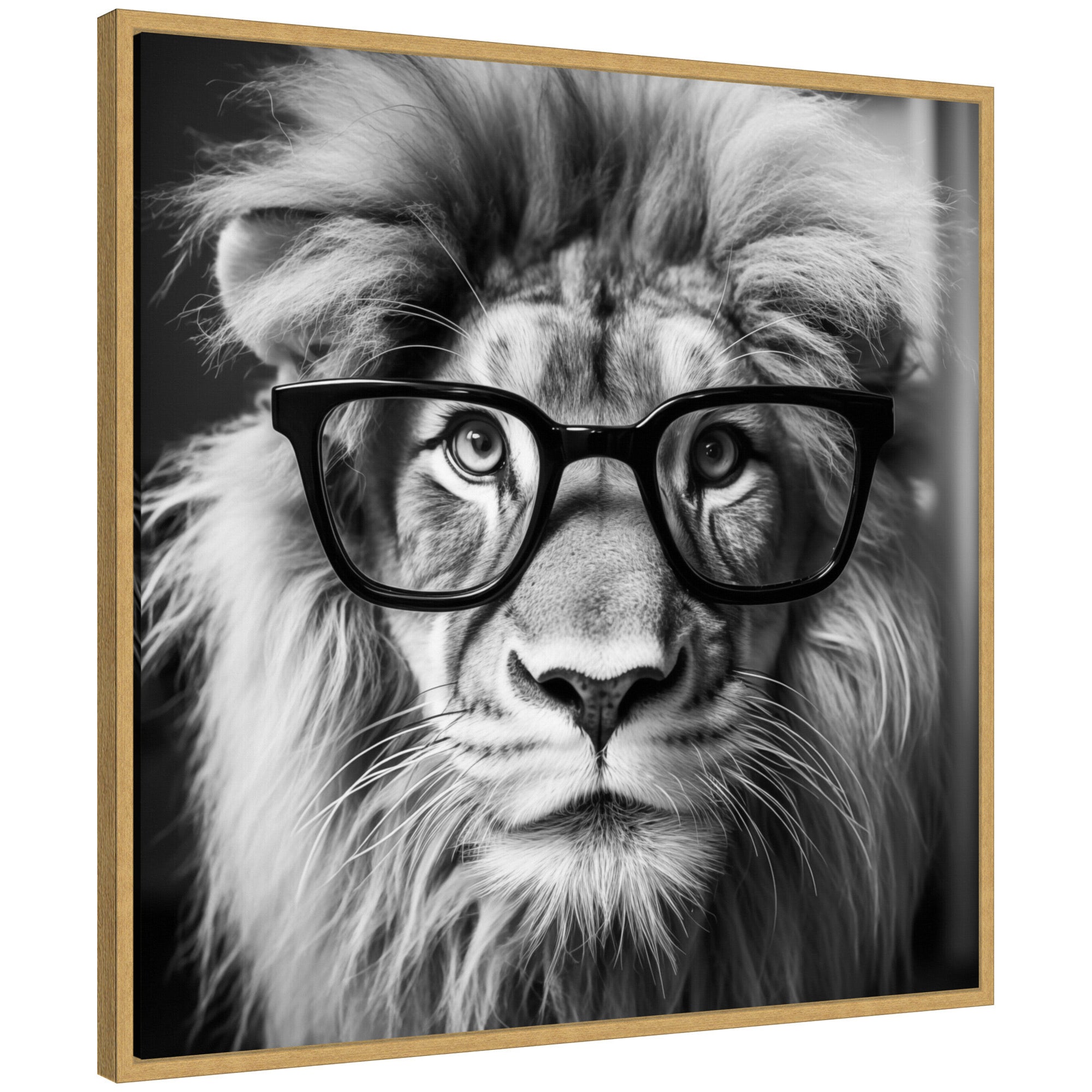Sylvie Black and White Lion in Reading Glasses Framed Canvas by The Creative Bunch Studio