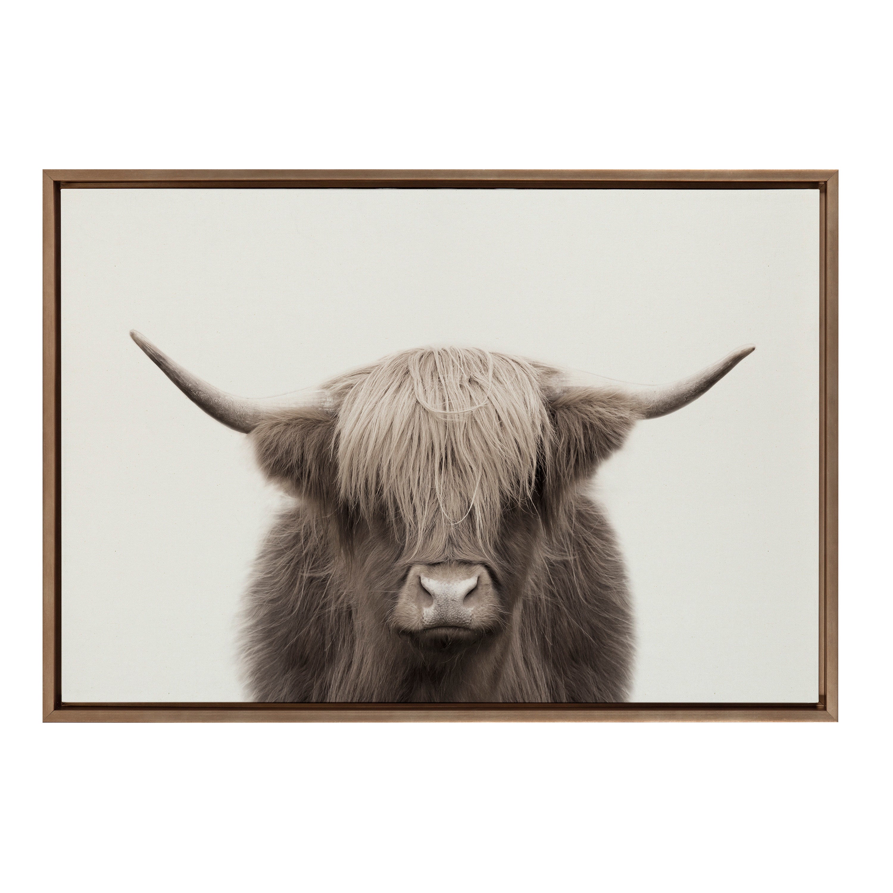 Sylvie Hey Dude Highland Cow Color Framed Canvas by The Creative Bunch Studio