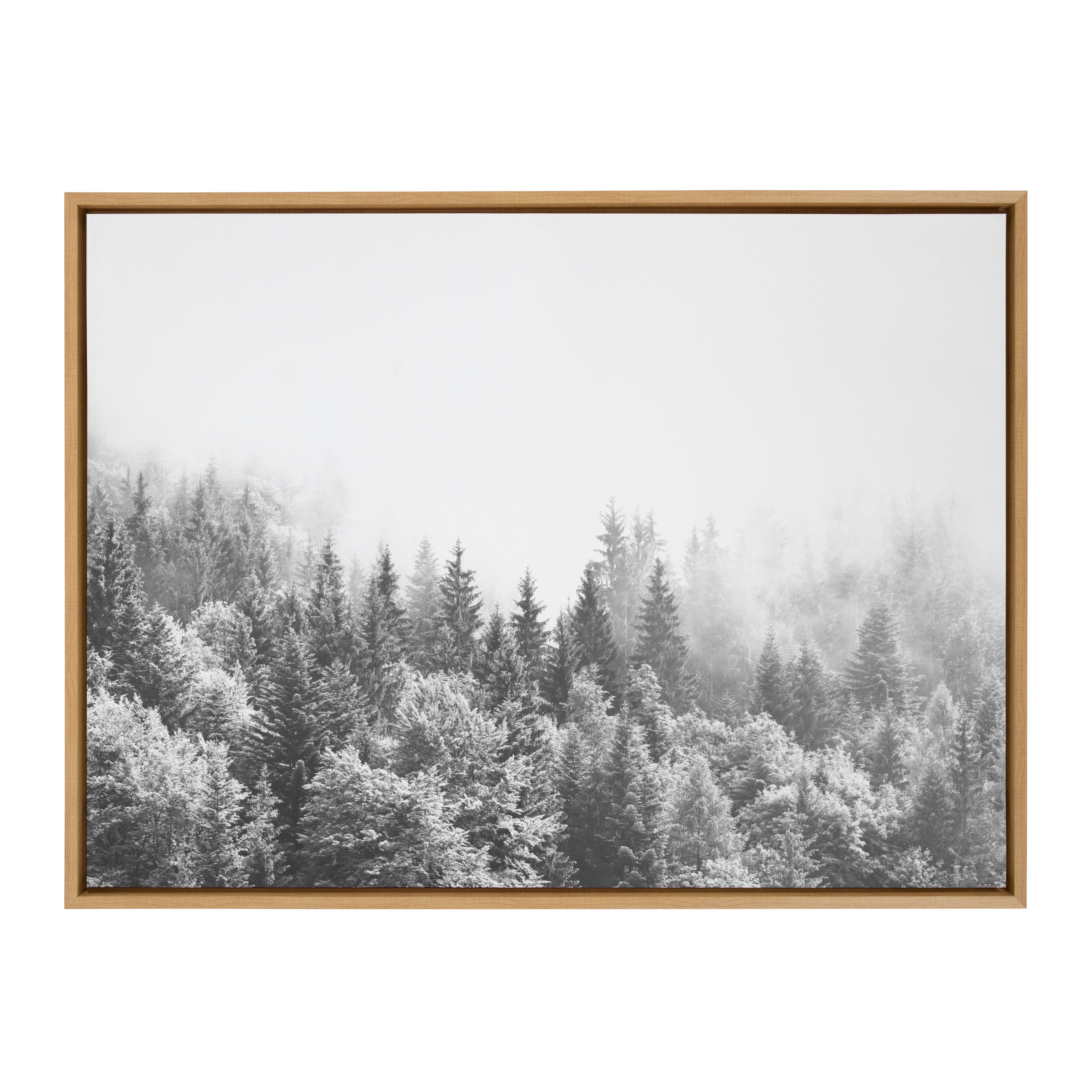 Sylvie Forest On A Foggy Day BW Framed Canvas by The Creative Bunch Studio
