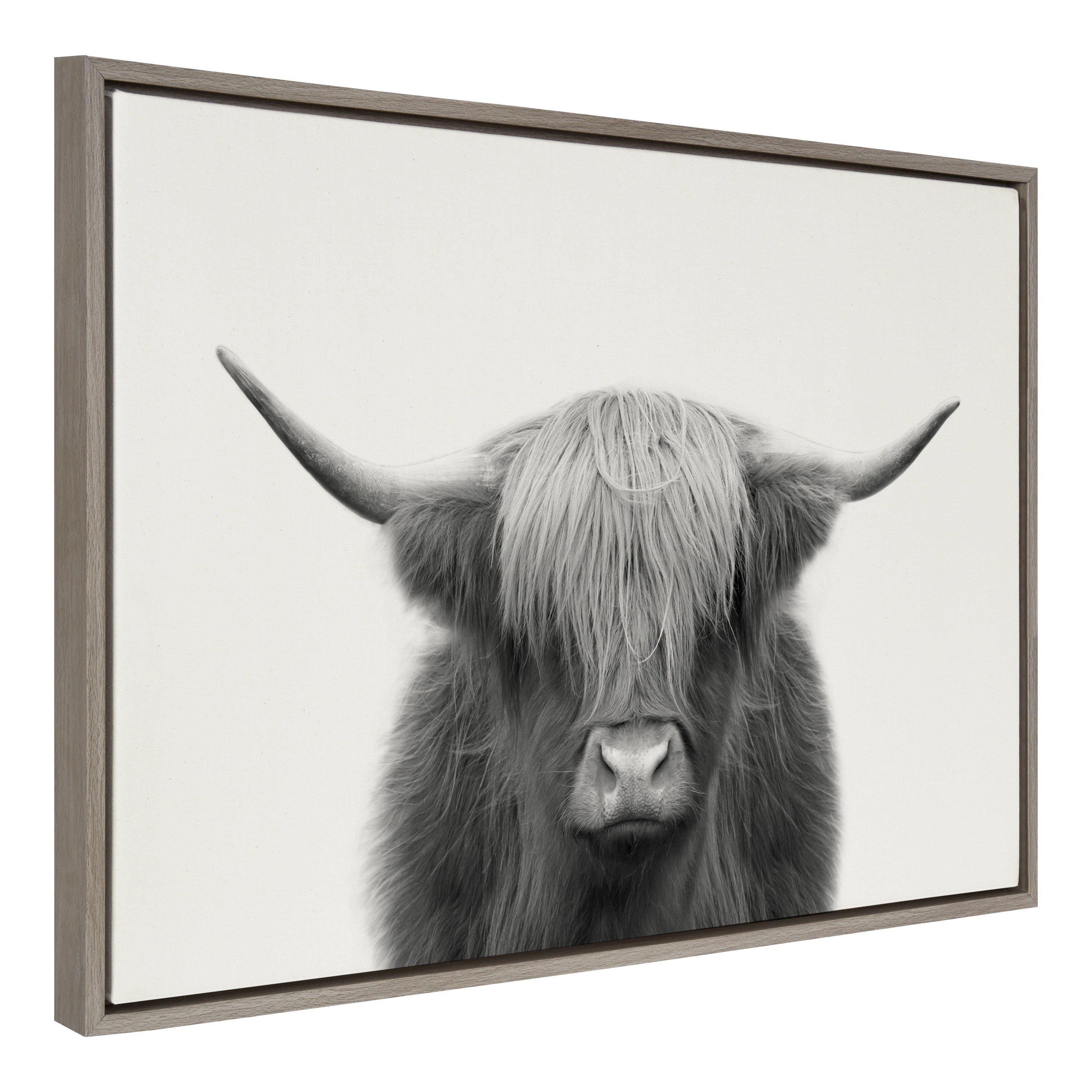 Sylvie Hey Dude Highland Cow Framed Linen Canvas by The Creative Bunch Studio
