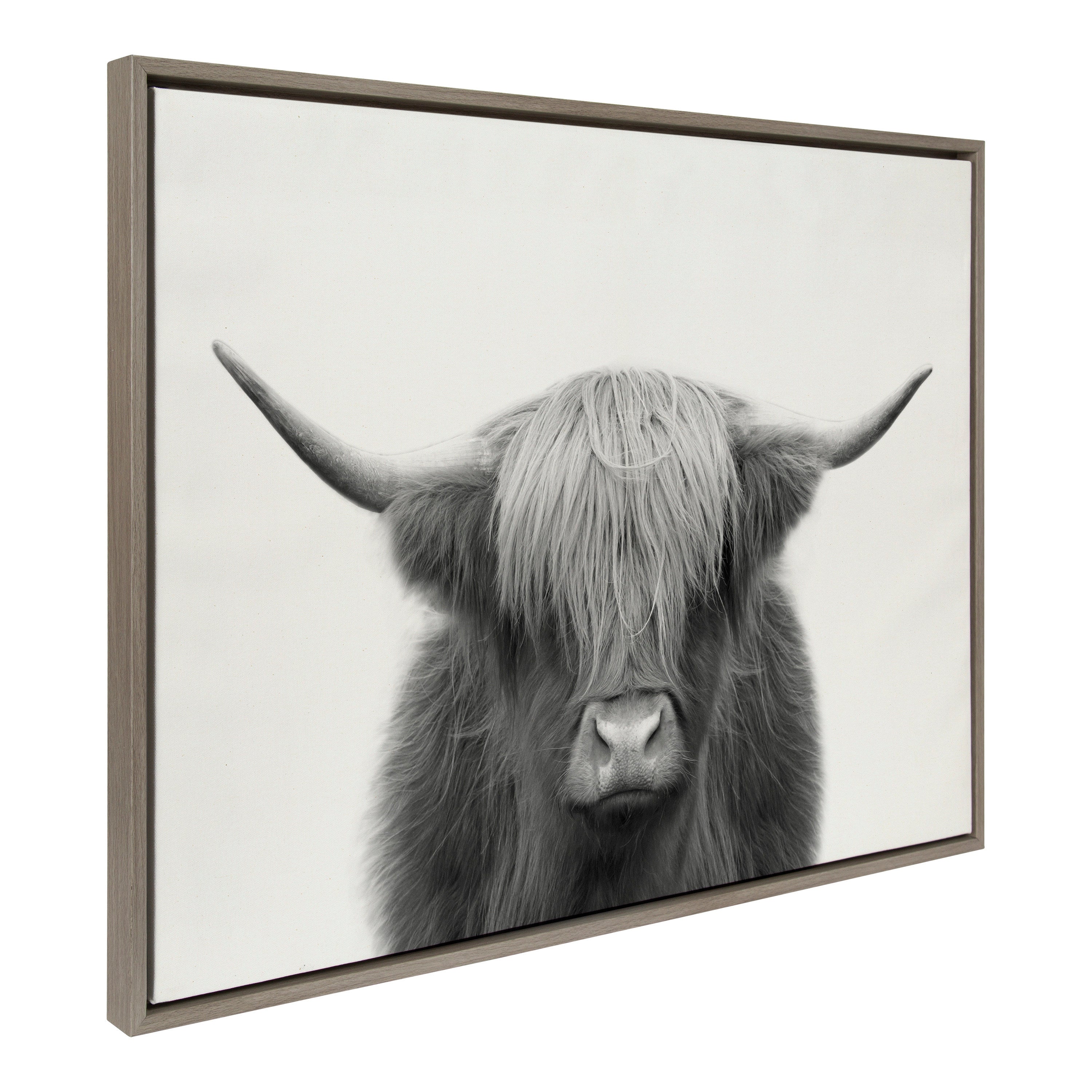 Sylvie Hey Dude Highland Cow Framed Linen Canvas by The Creative Bunch Studio