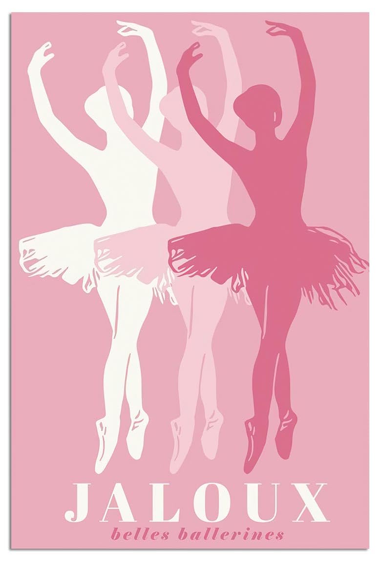 Trendy Pink Ballet Art Print Poster Canvas Wall Art 12x18in Unframed