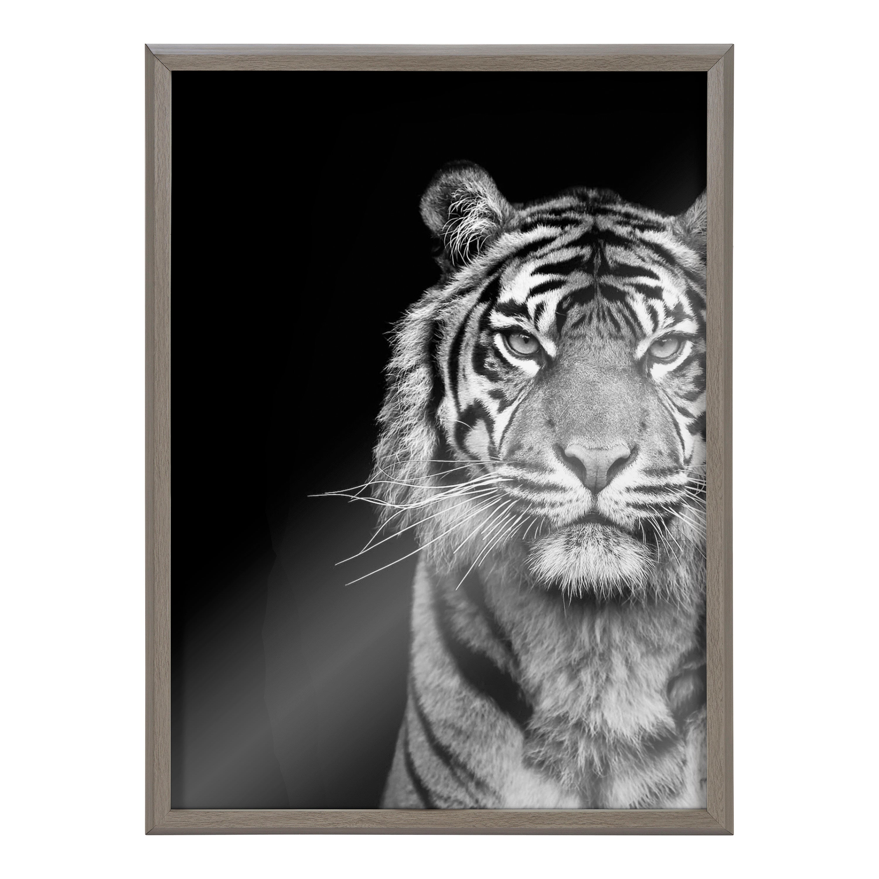 Blake Tiger Minimalist Animal Framed Printed Glass by The Creative Bunch Studio