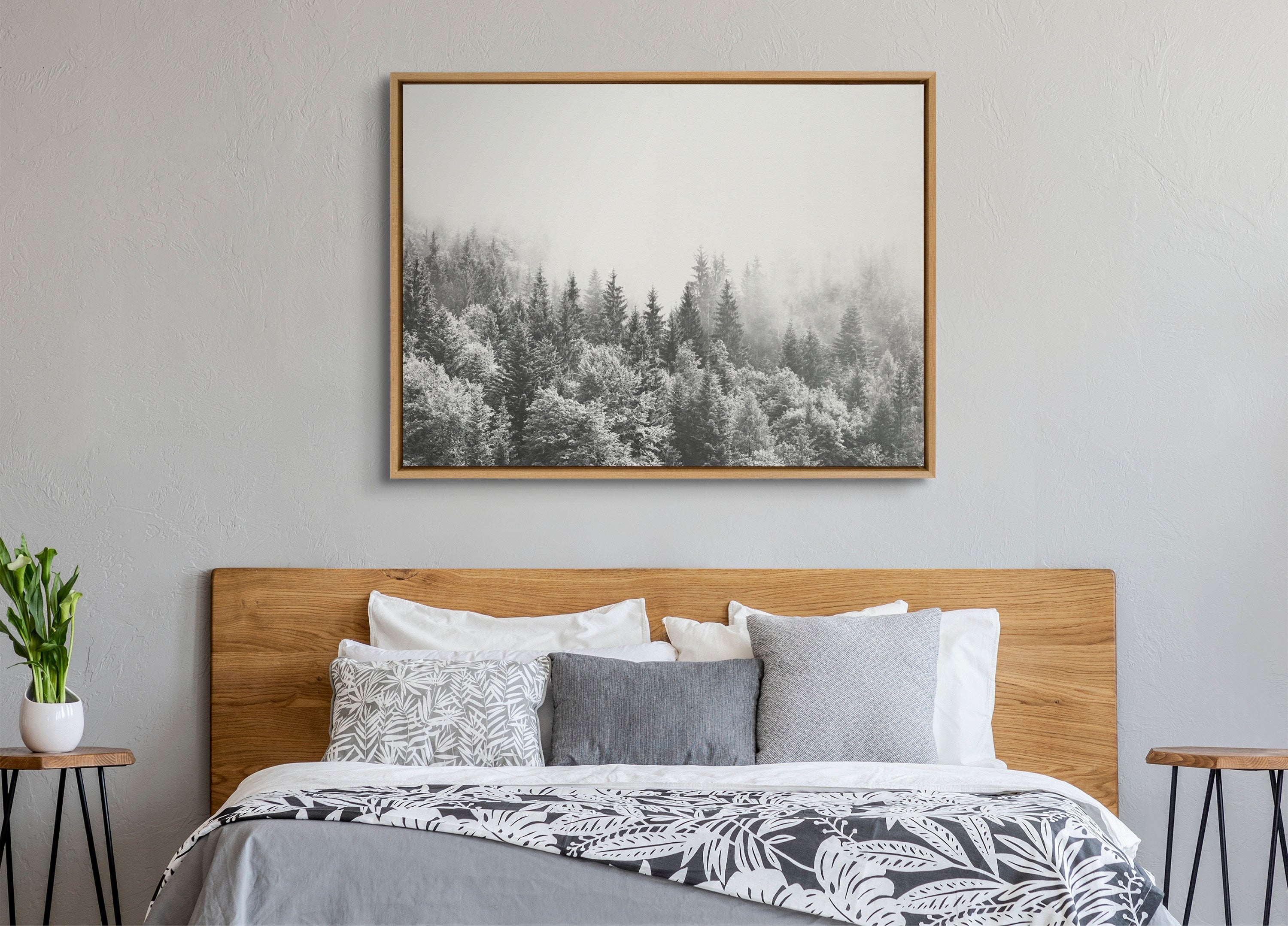 Sylvie Forest On A Foggy Day BW Framed Canvas by The Creative Bunch Studio