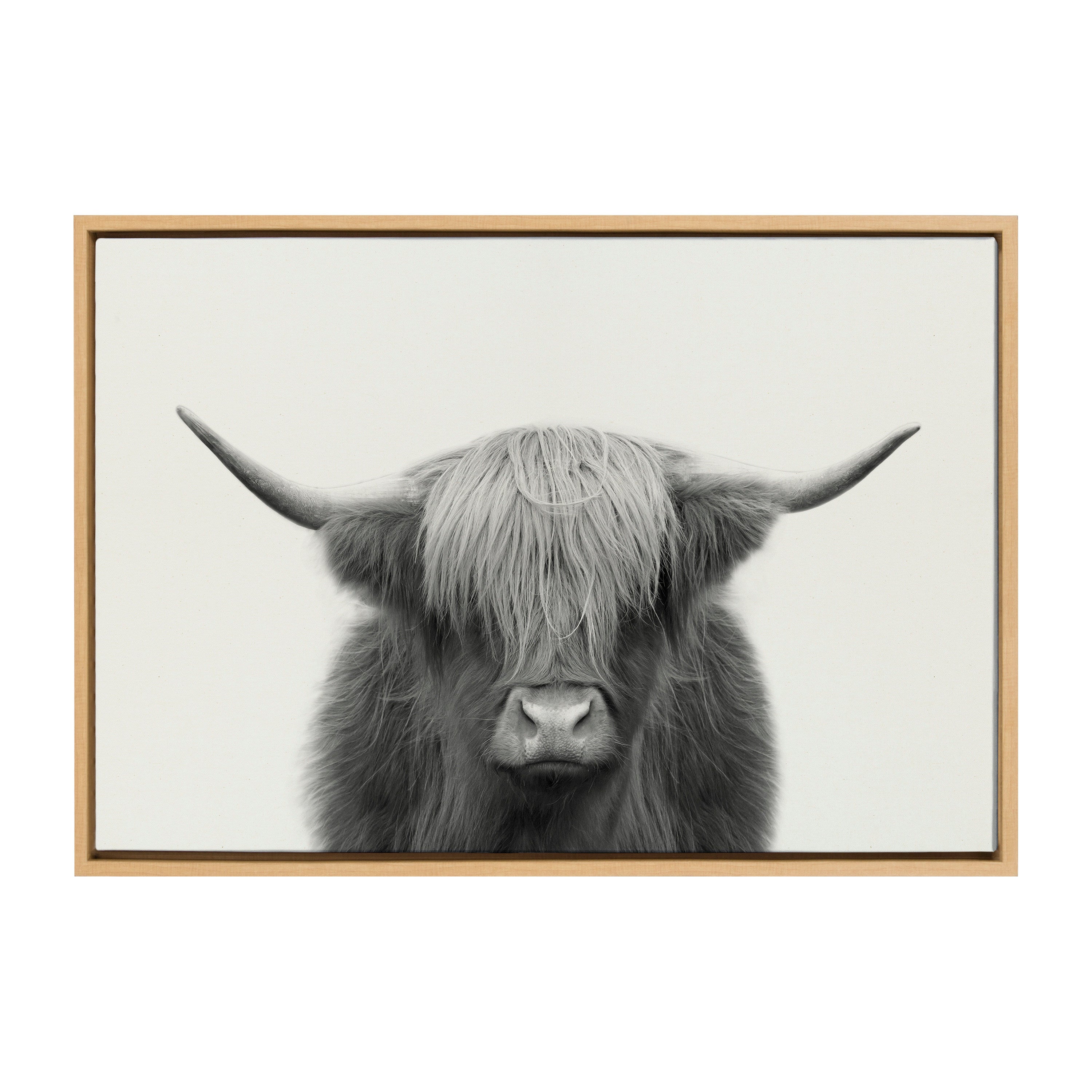 Sylvie Hey Dude Highland Cow Framed Linen Canvas by The Creative Bunch Studio