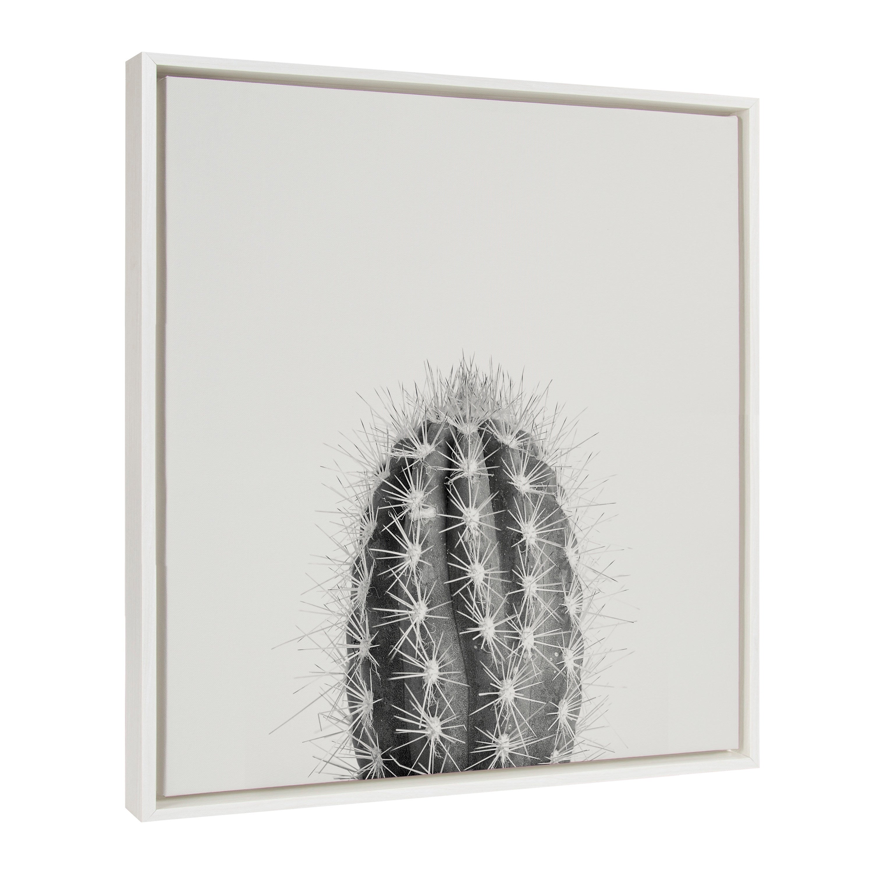 Sylvie Haze Cactus Succulent Tall Framed Canvas by The Creative Bunch Studio