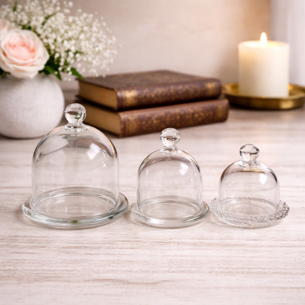 Glass Dome Display Cloche with Base