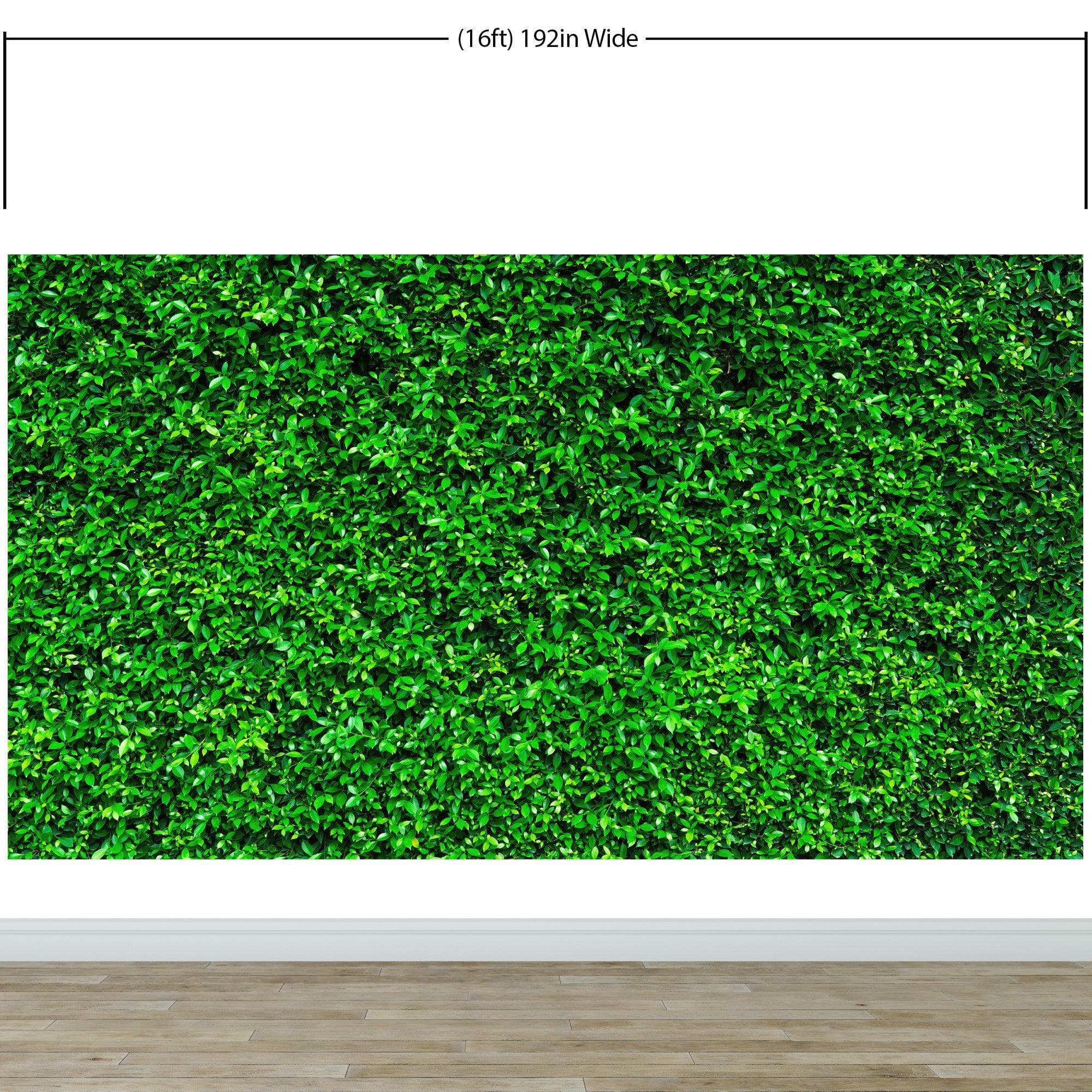 Greenery Grass Background Wallpaper Mural. #6551