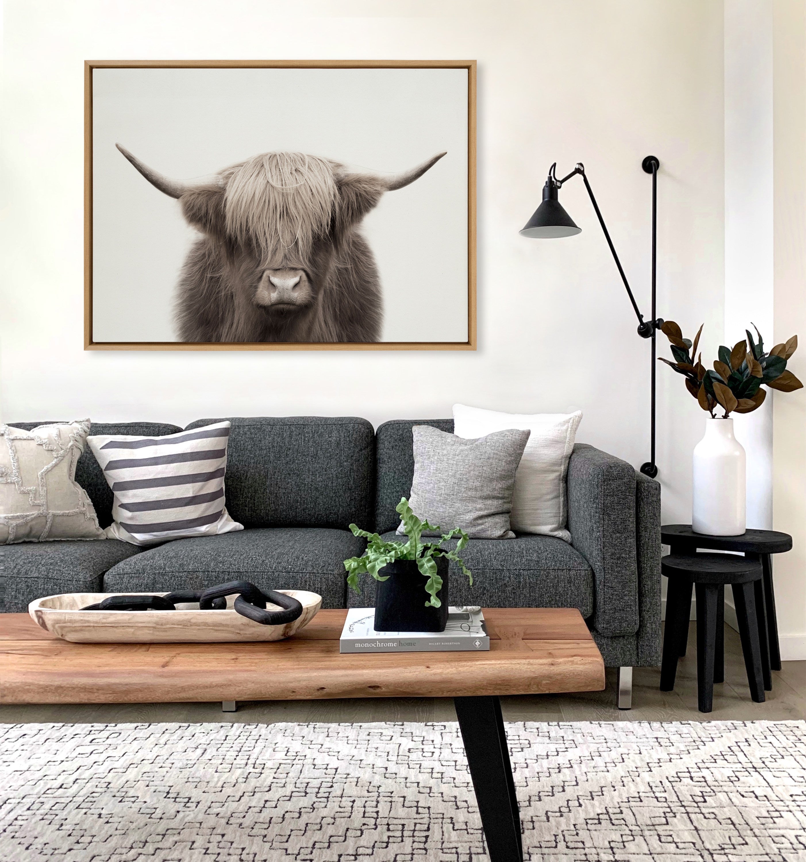 Sylvie Hey Dude Highland Cow Color Framed Canvas by The Creative Bunch Studio