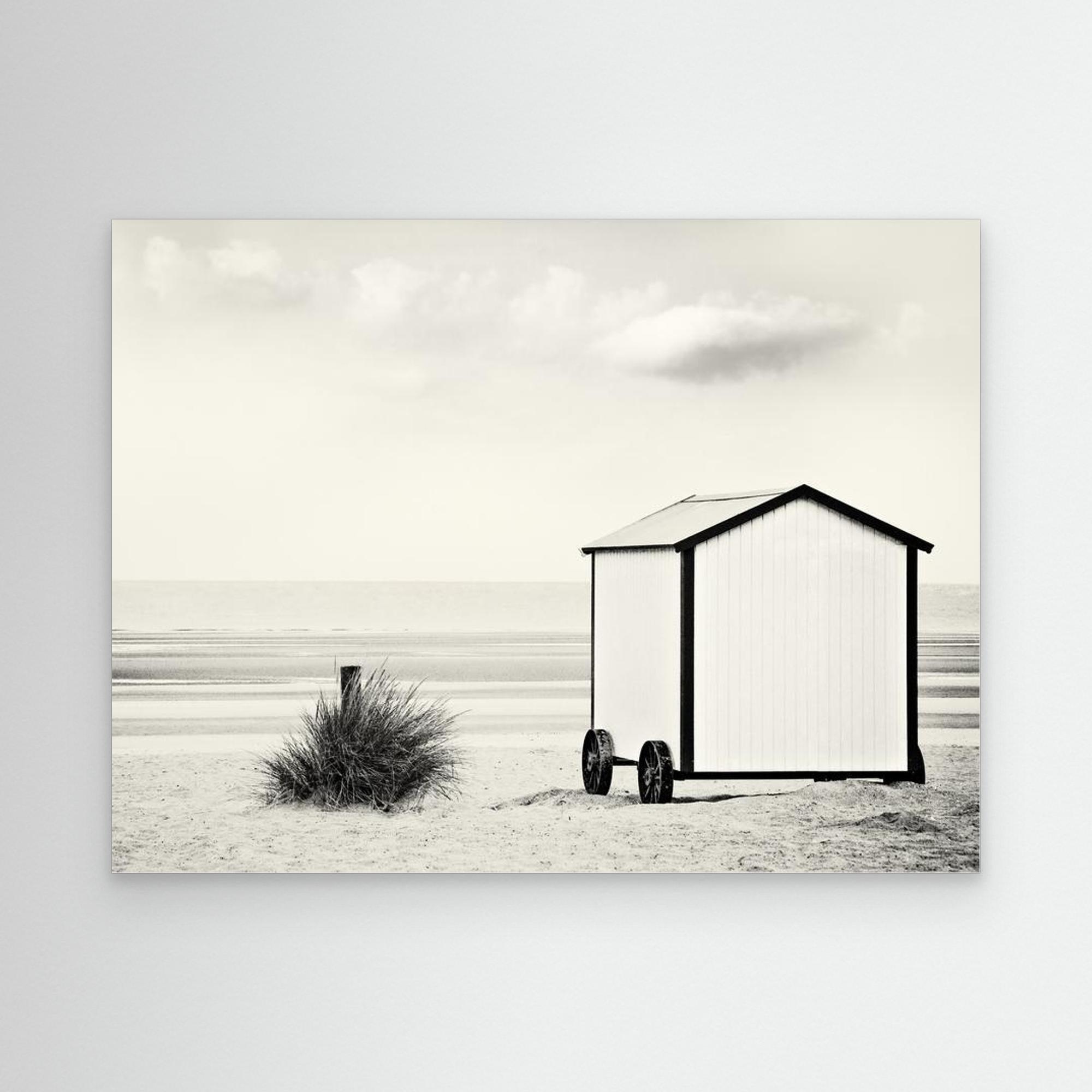 end of season by Gilbert Claes