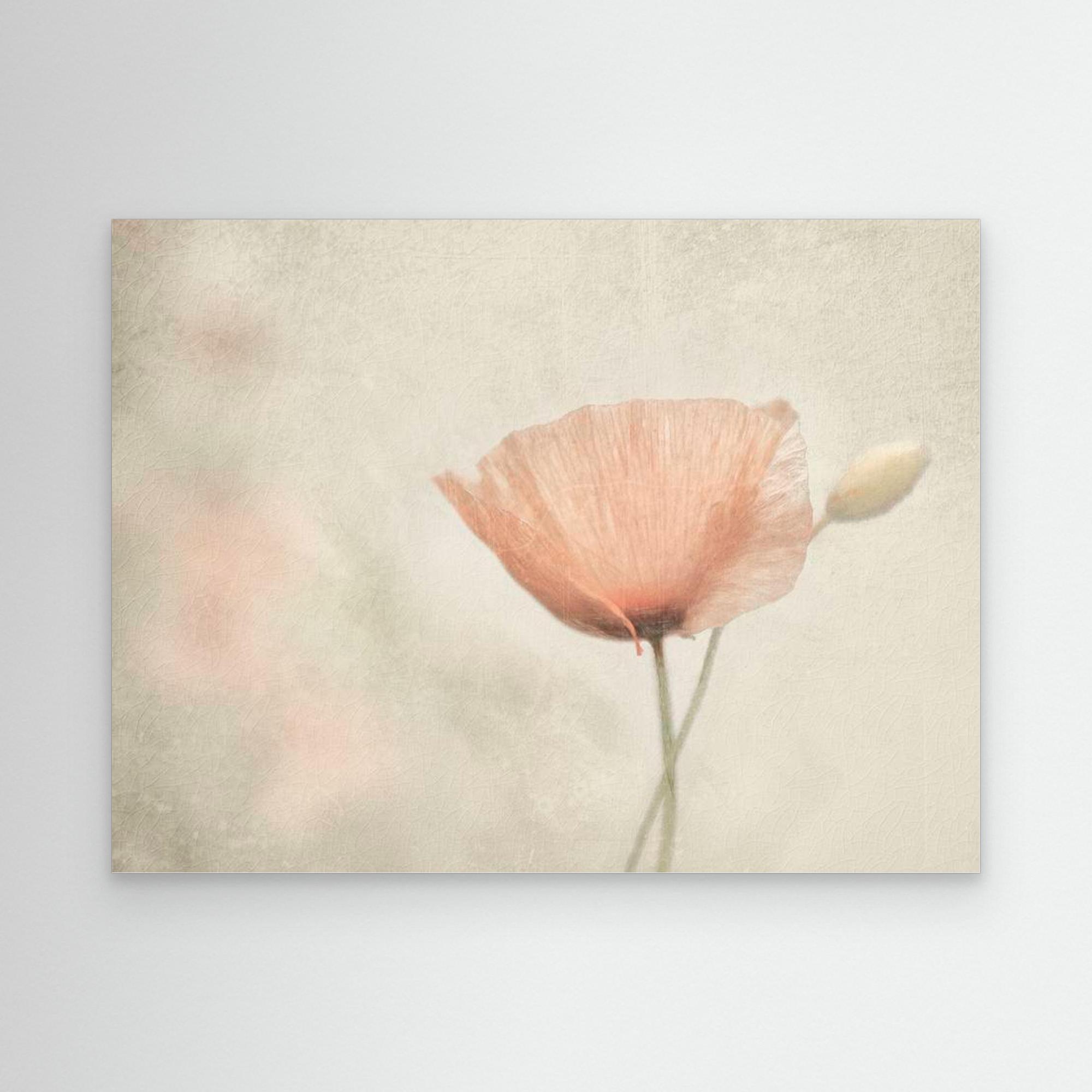 jewel of nature by Gilbert Claes