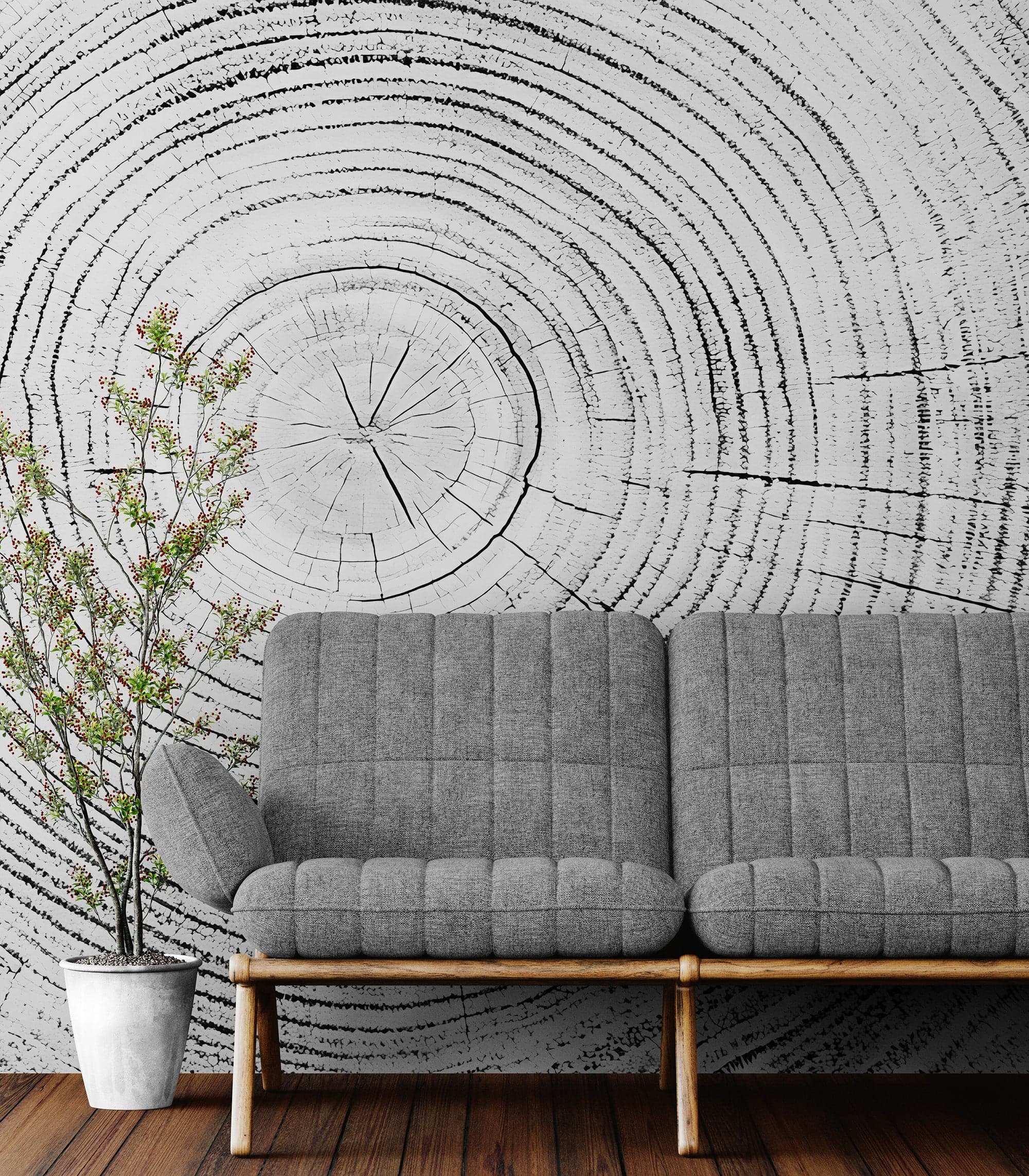 Tree Rings Wallpaper Mural. Black and White Modern Wood Grain Circle Pattern. #7022