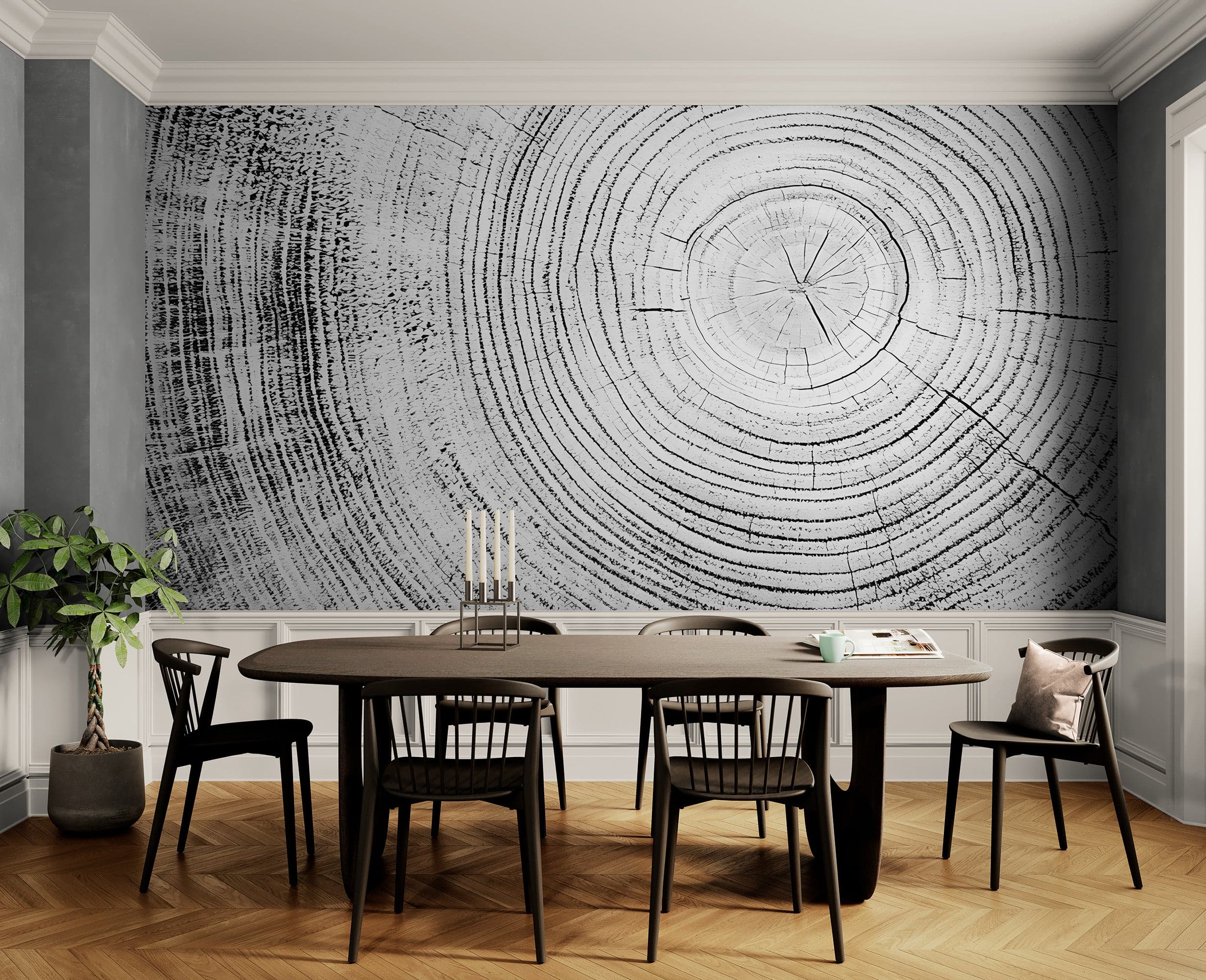 Tree Rings Wallpaper Mural. Black and White Modern Wood Grain Circle Pattern. #7022