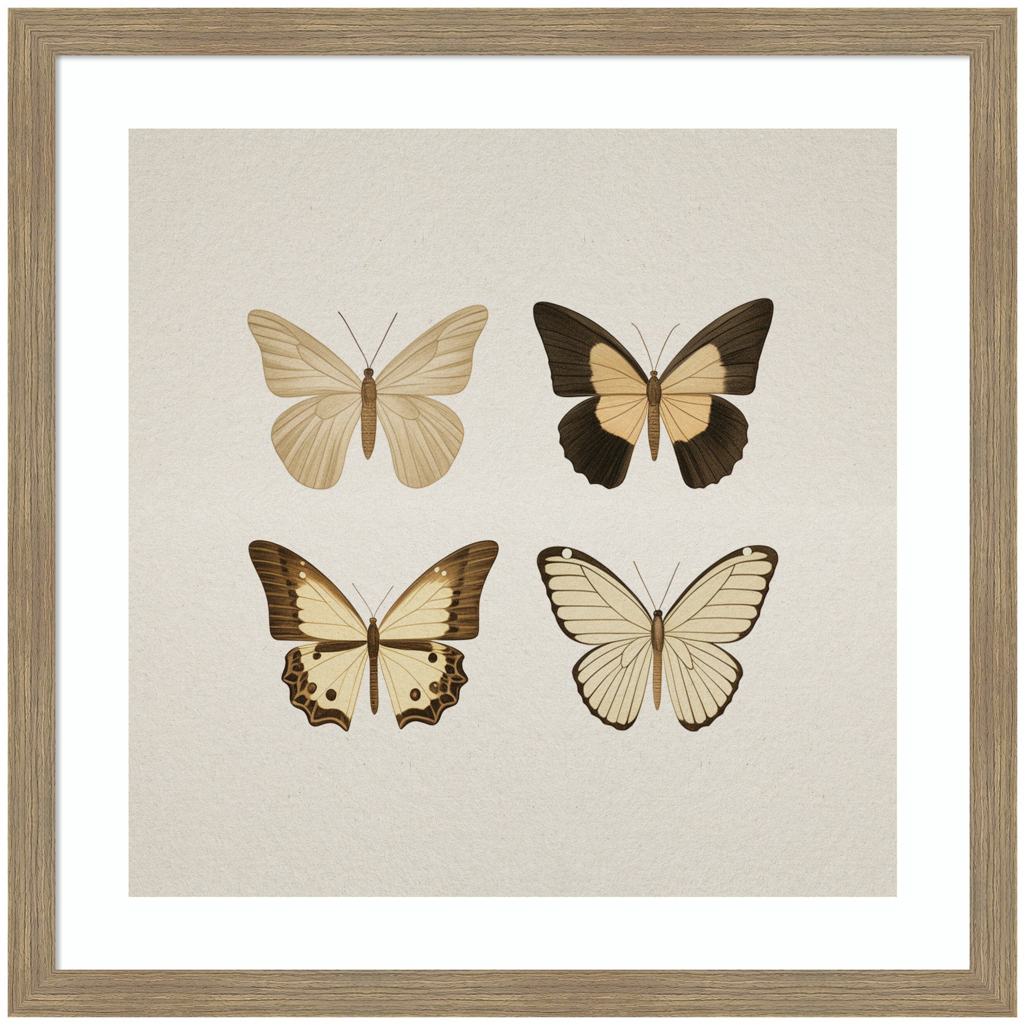 Framed Art Vintage Style Butterflies in Neutral Tones by The Creative Bunch Studio