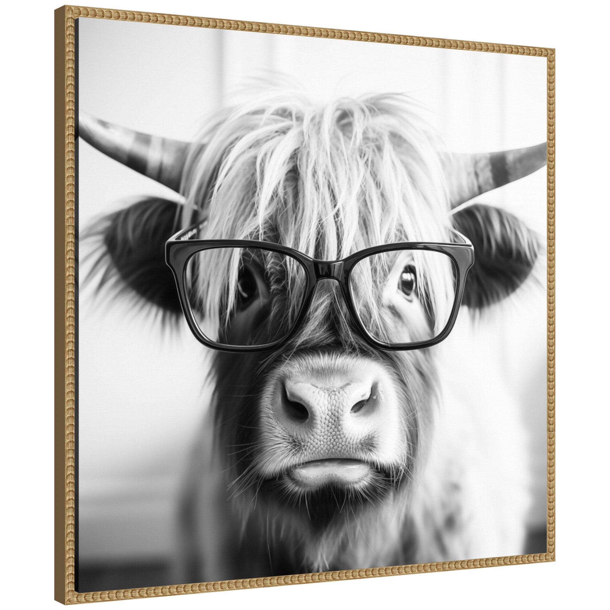 Sylvie Black and White Highland Cow in Reading Glasses Framed Canvas by The Creative Bunch Studio