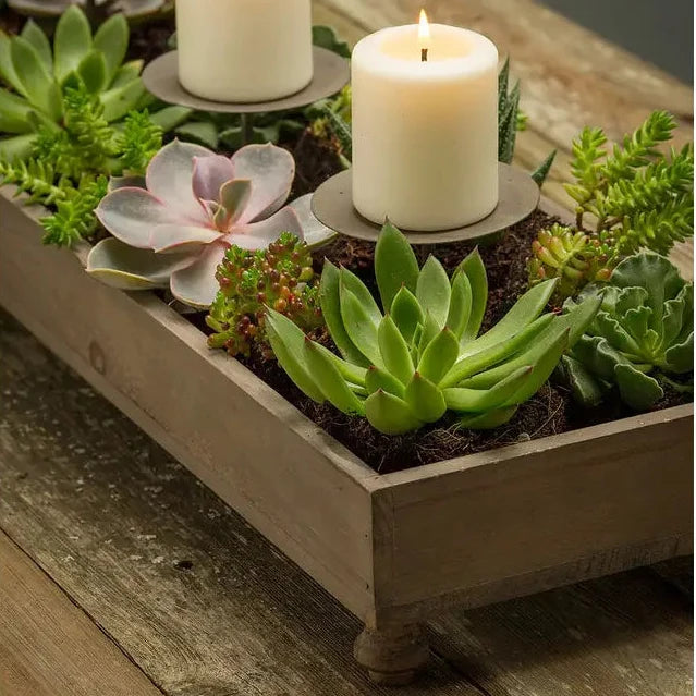 Rustic Recycled Pine Four Candle Holder Centerpiece