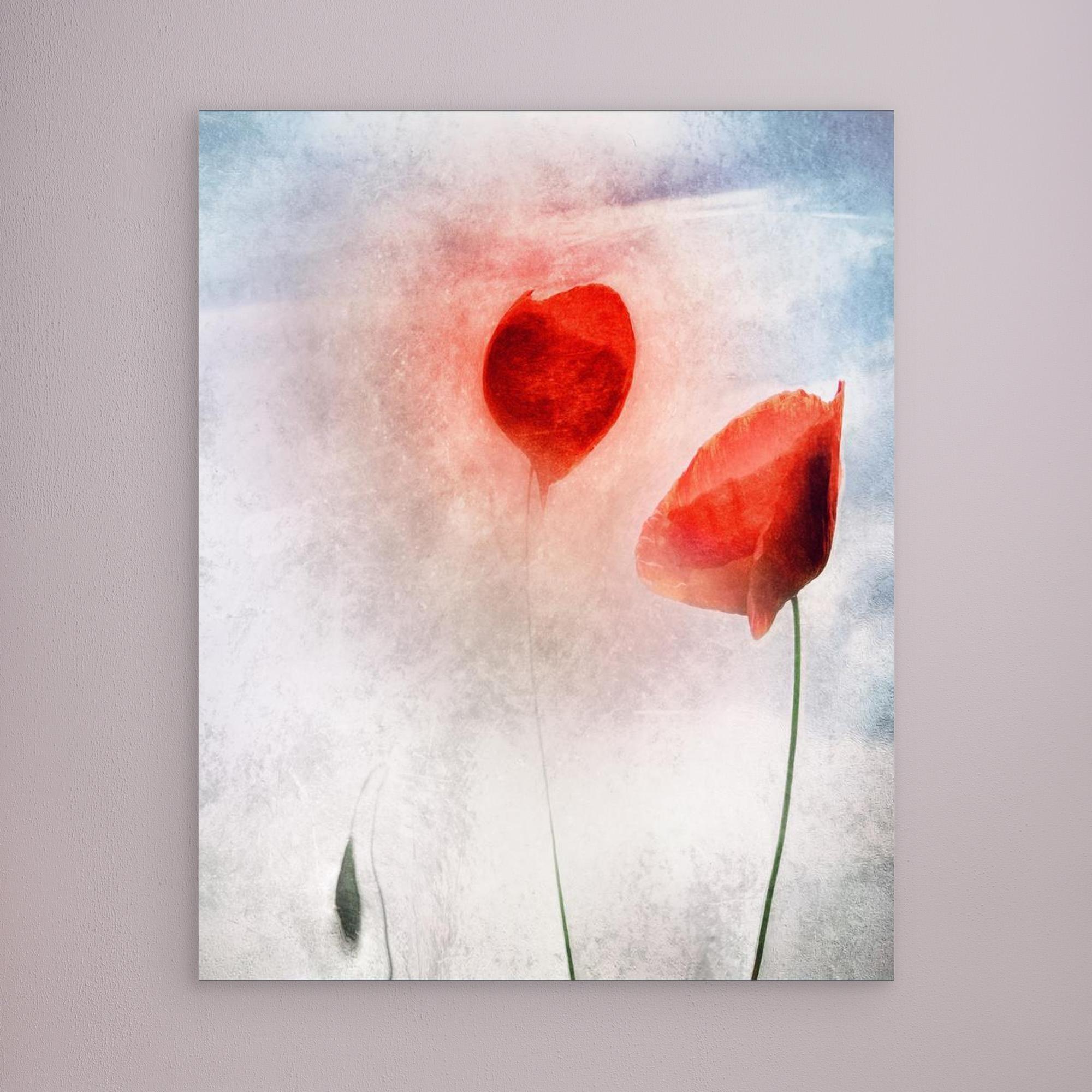 In Flanders Fields by Gilbert Claes