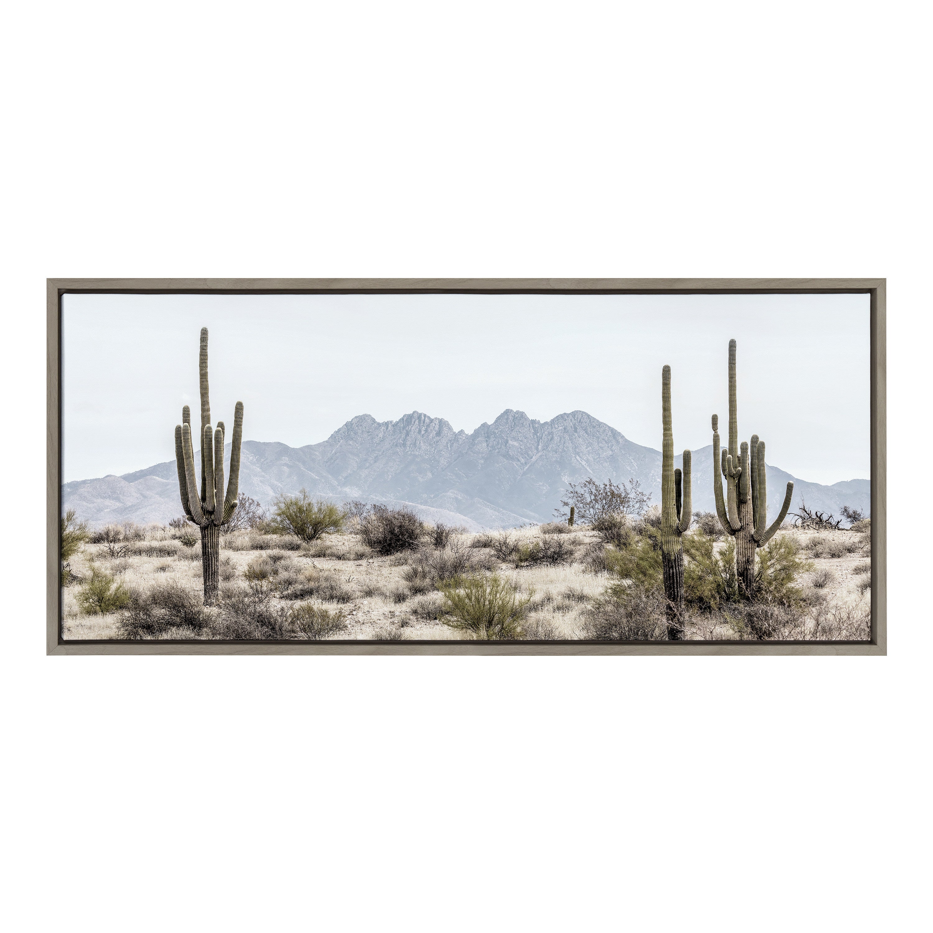 Sylvie Tall Saguaro Cacti Desert Mountain Framed Canvas by The Creative Bunch Studio