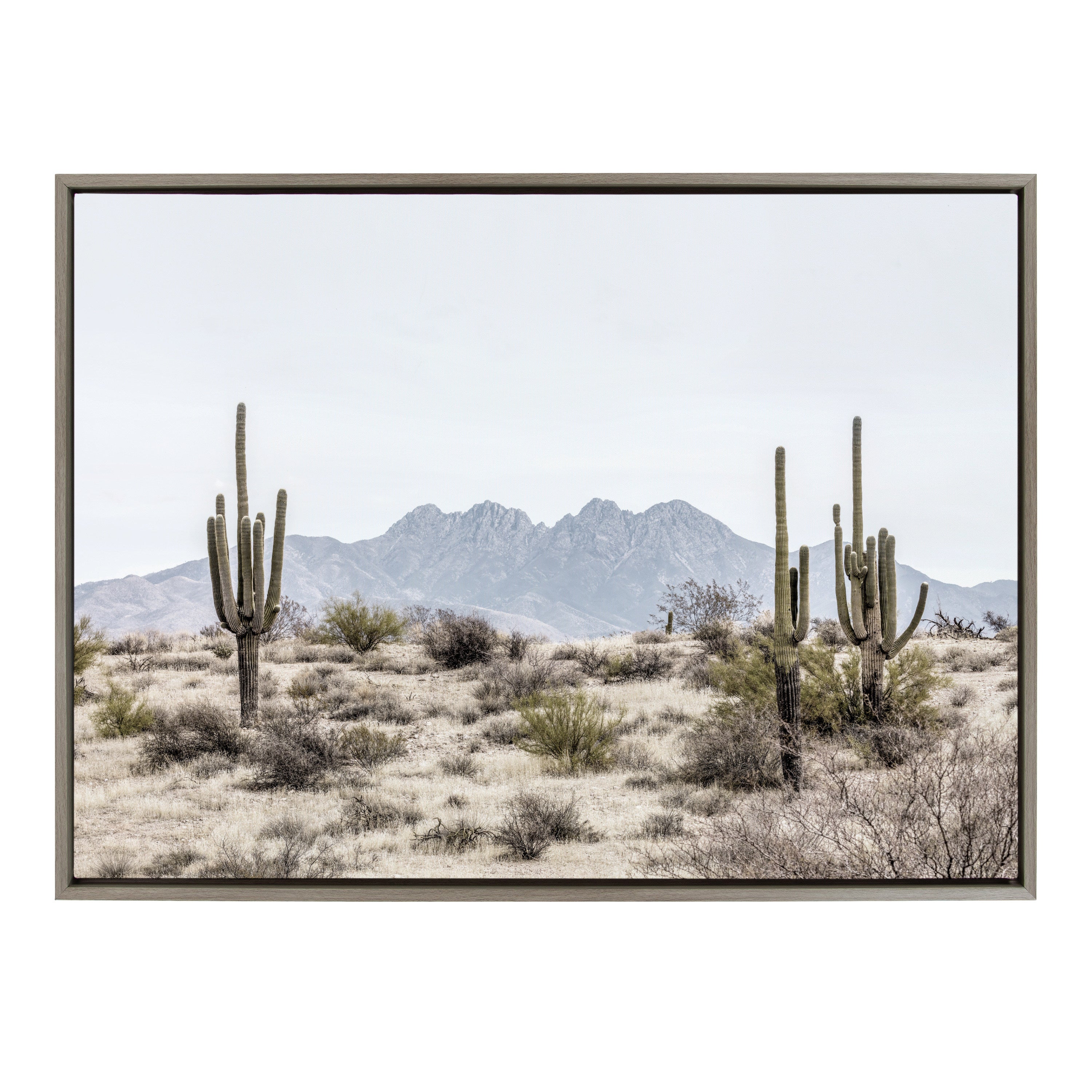 Sylvie Tall Saguaro Cacti Desert Mountain Framed Canvas by The Creative Bunch Studio