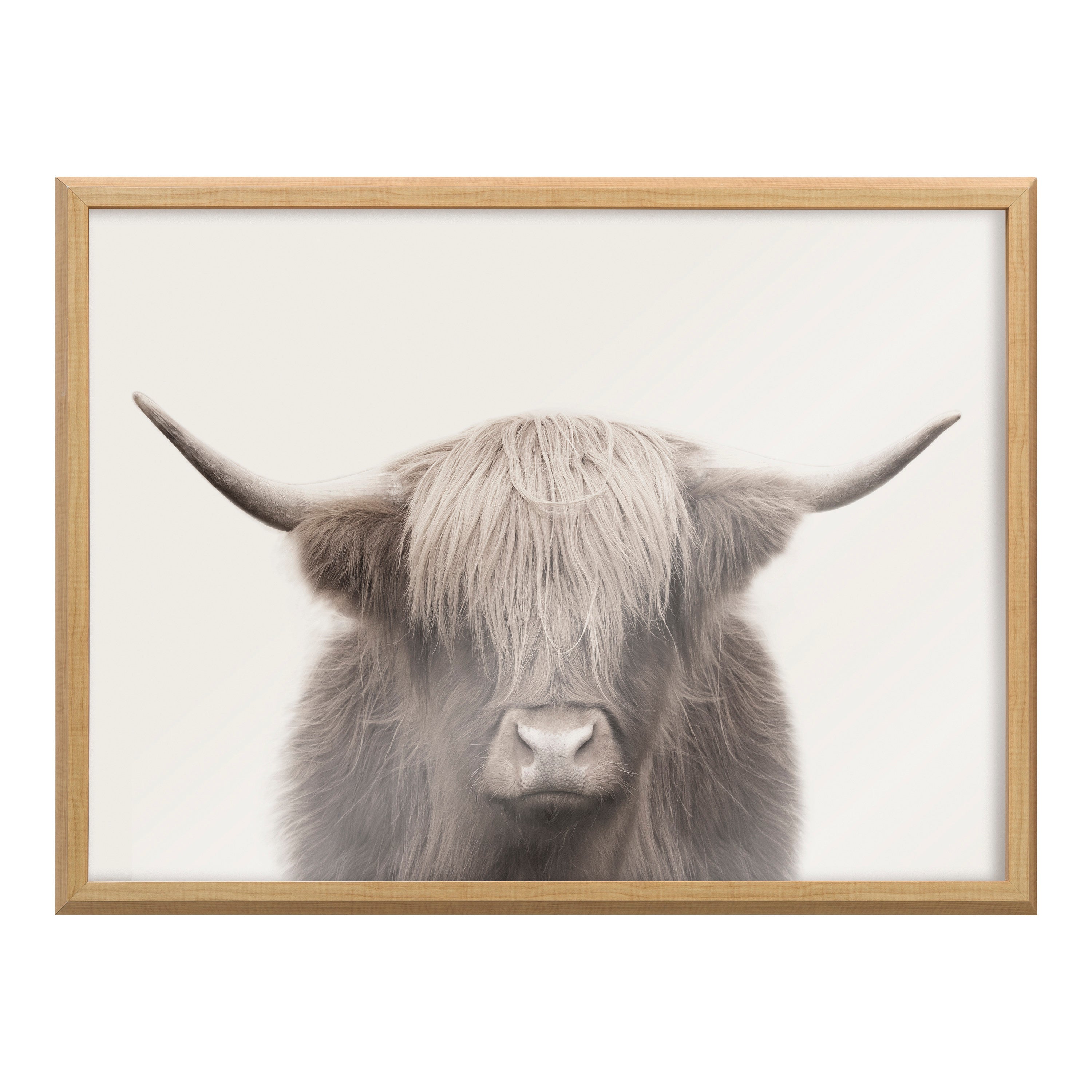 Blake Hey Dude Highland Cow Color Framed Printed Art by The Creative Bunch Studio