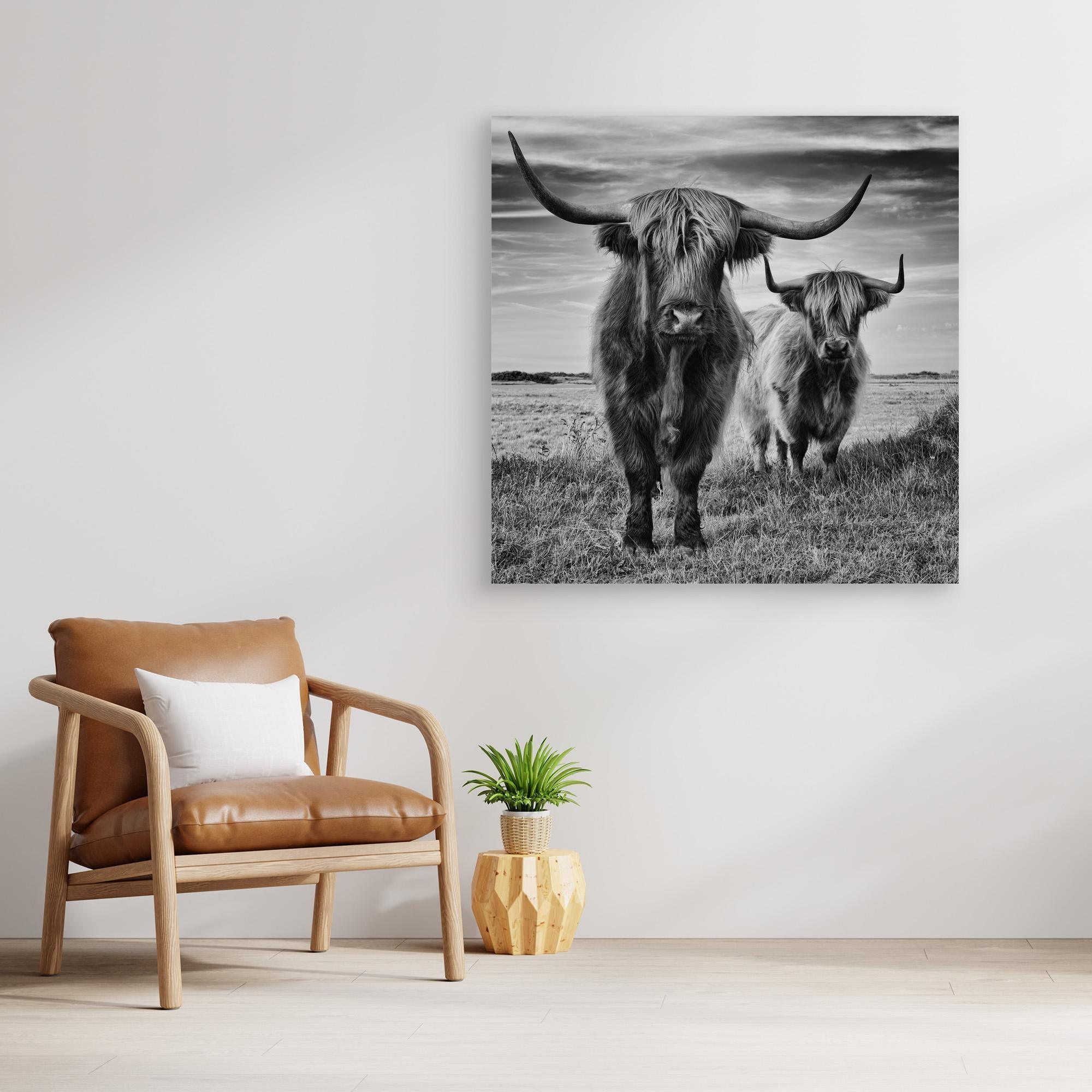 Highlands by Stéphane Pecqueux - PRHOMZ