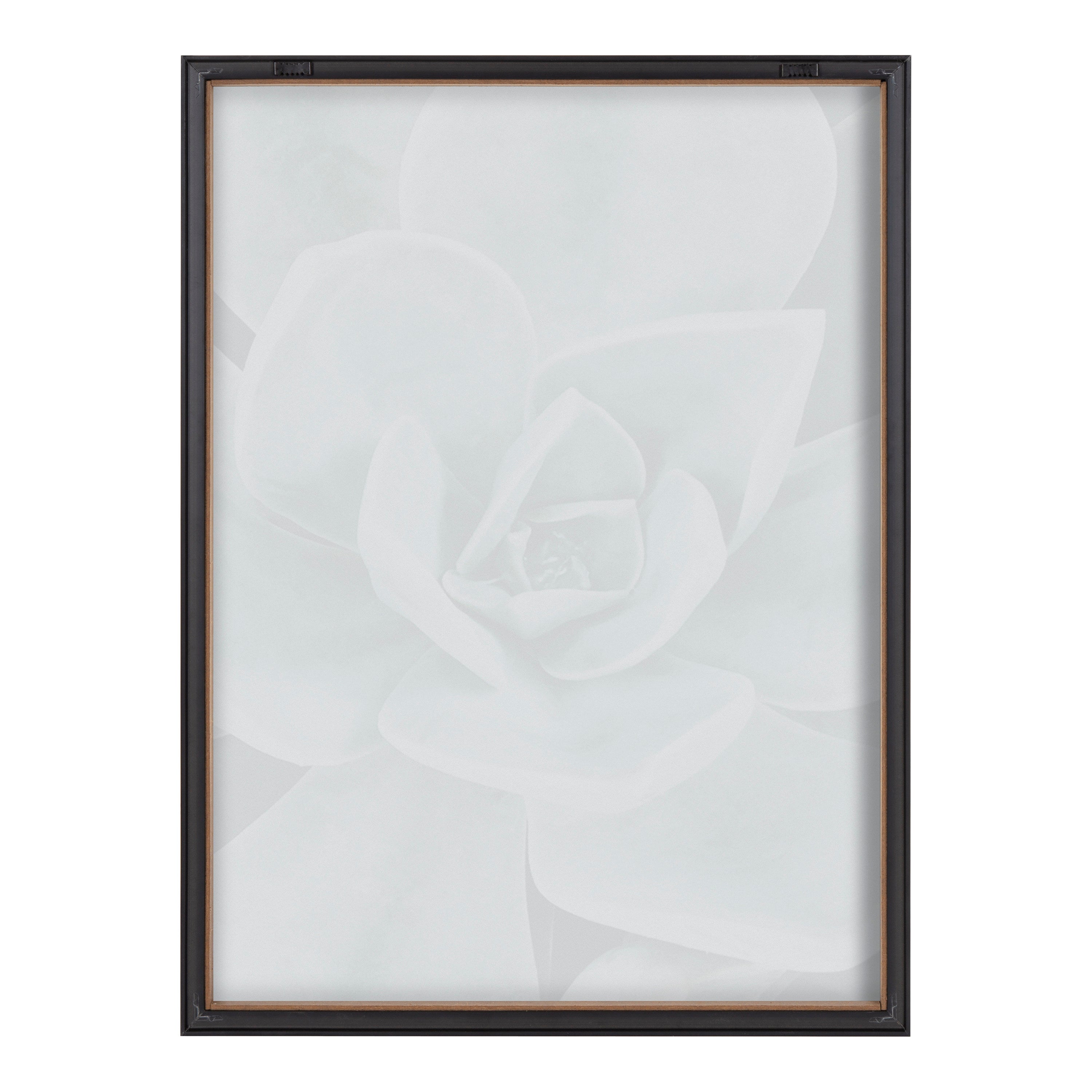 Blake Botanical Succulent Plants 3 Framed Printed Glass by The Creative Bunch Studio