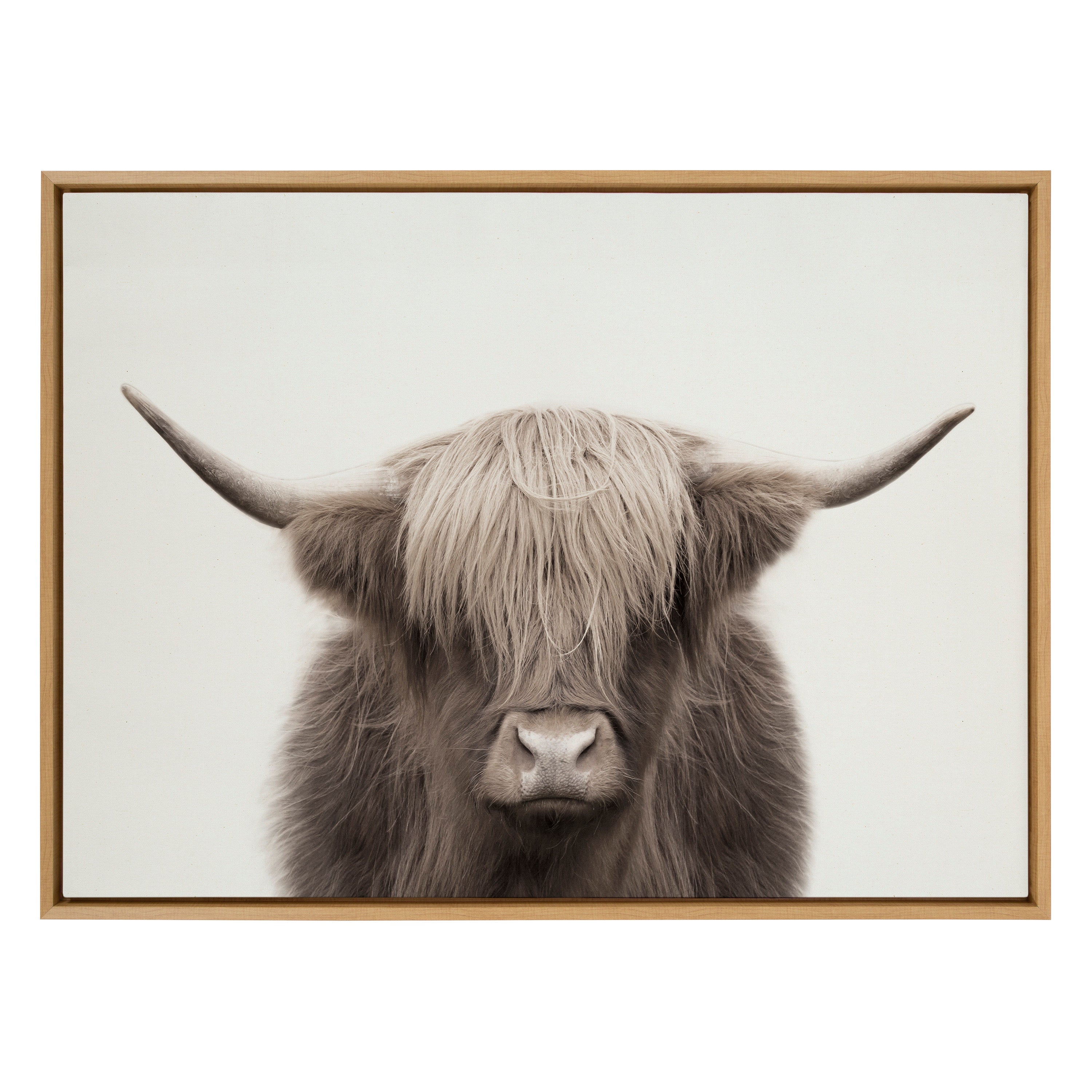 Sylvie Hey Dude Highland Cow Color Framed Canvas by The Creative Bunch Studio