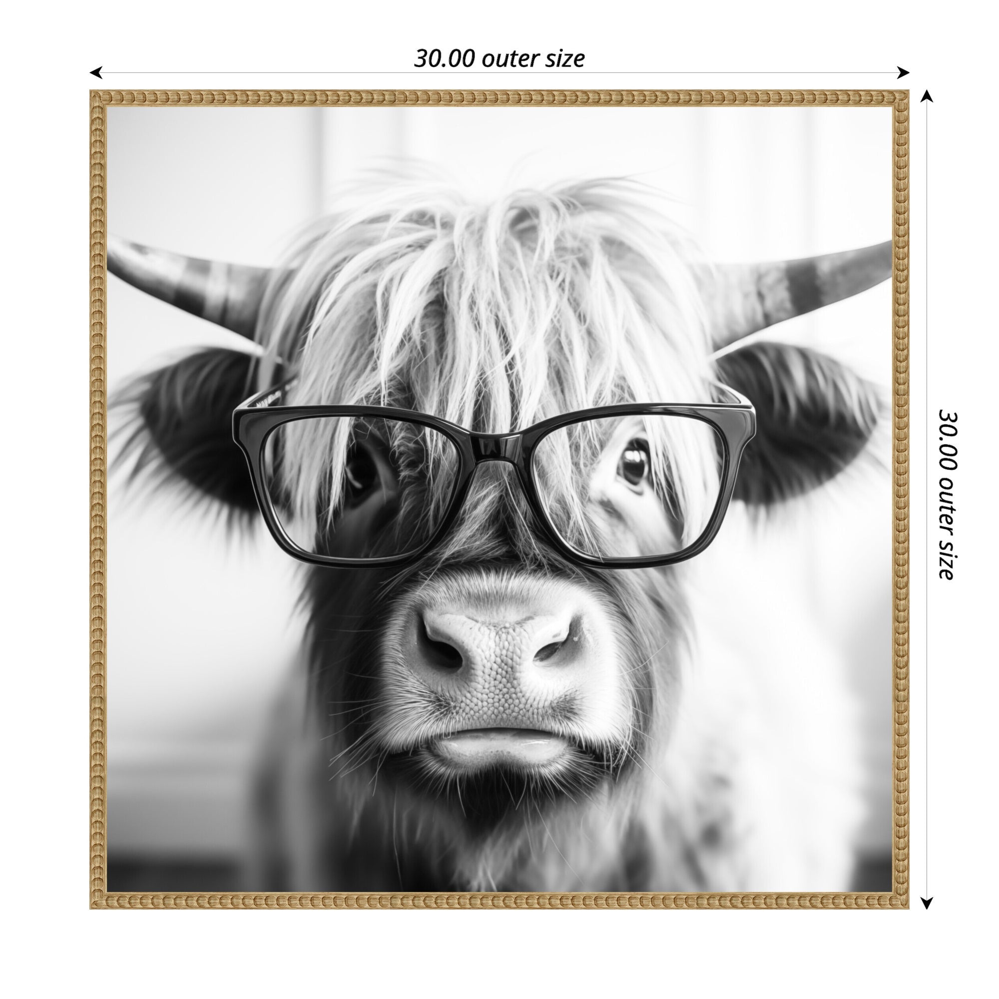 Sylvie Black and White Highland Cow in Reading Glasses Framed Canvas by The Creative Bunch Studio