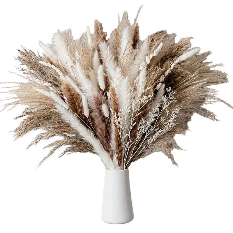Real Touch Dried Flower Set - 50pcs Artificial Rabbit Tail Reed Set (90cm)-0