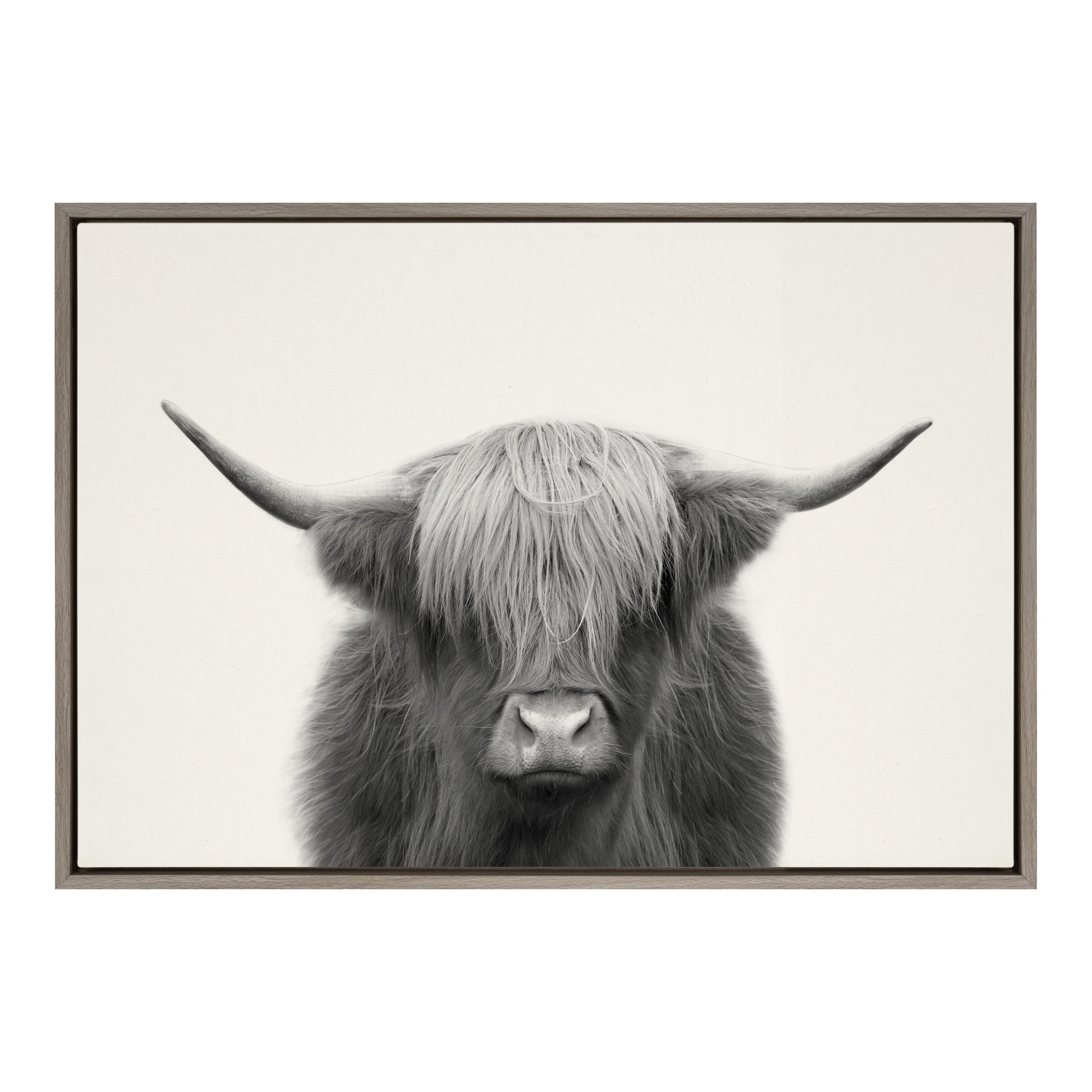 Sylvie Hey Dude Highland Cow Framed Linen Canvas by The Creative Bunch Studio