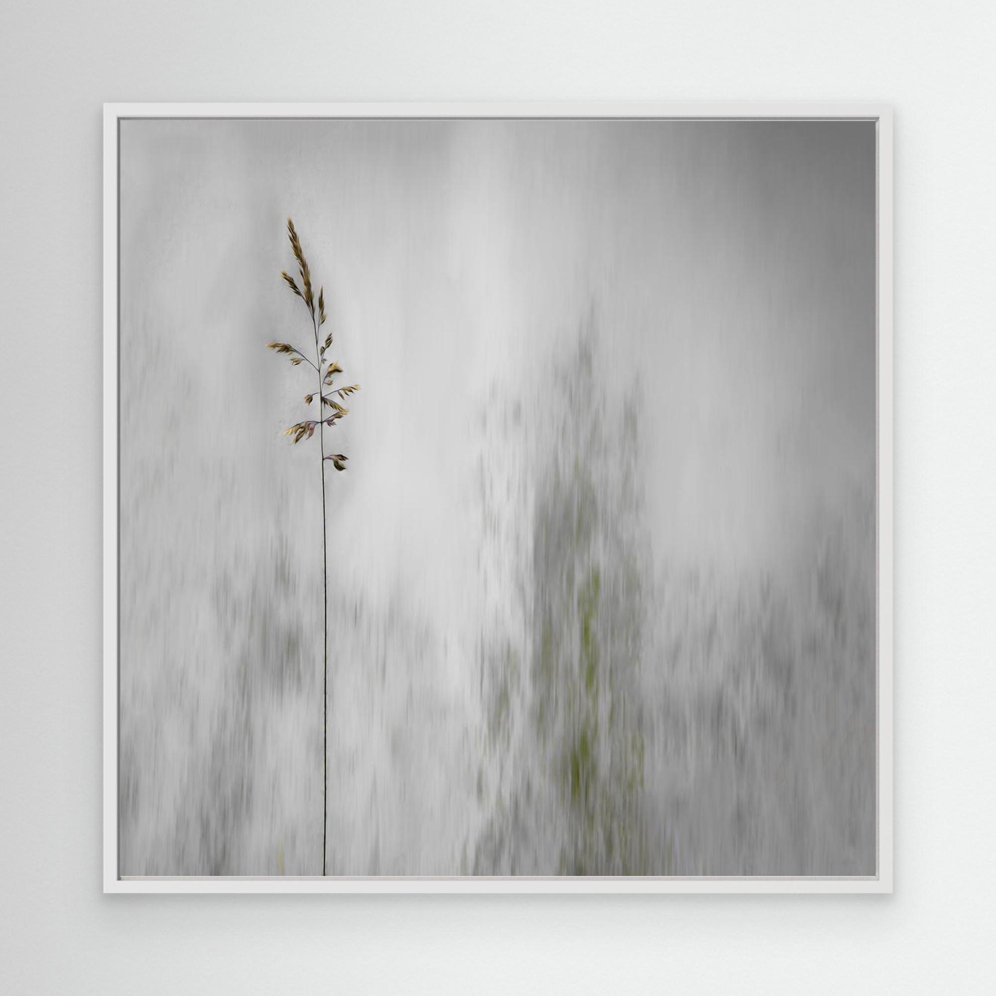 blade of grass by Gilbert Claes