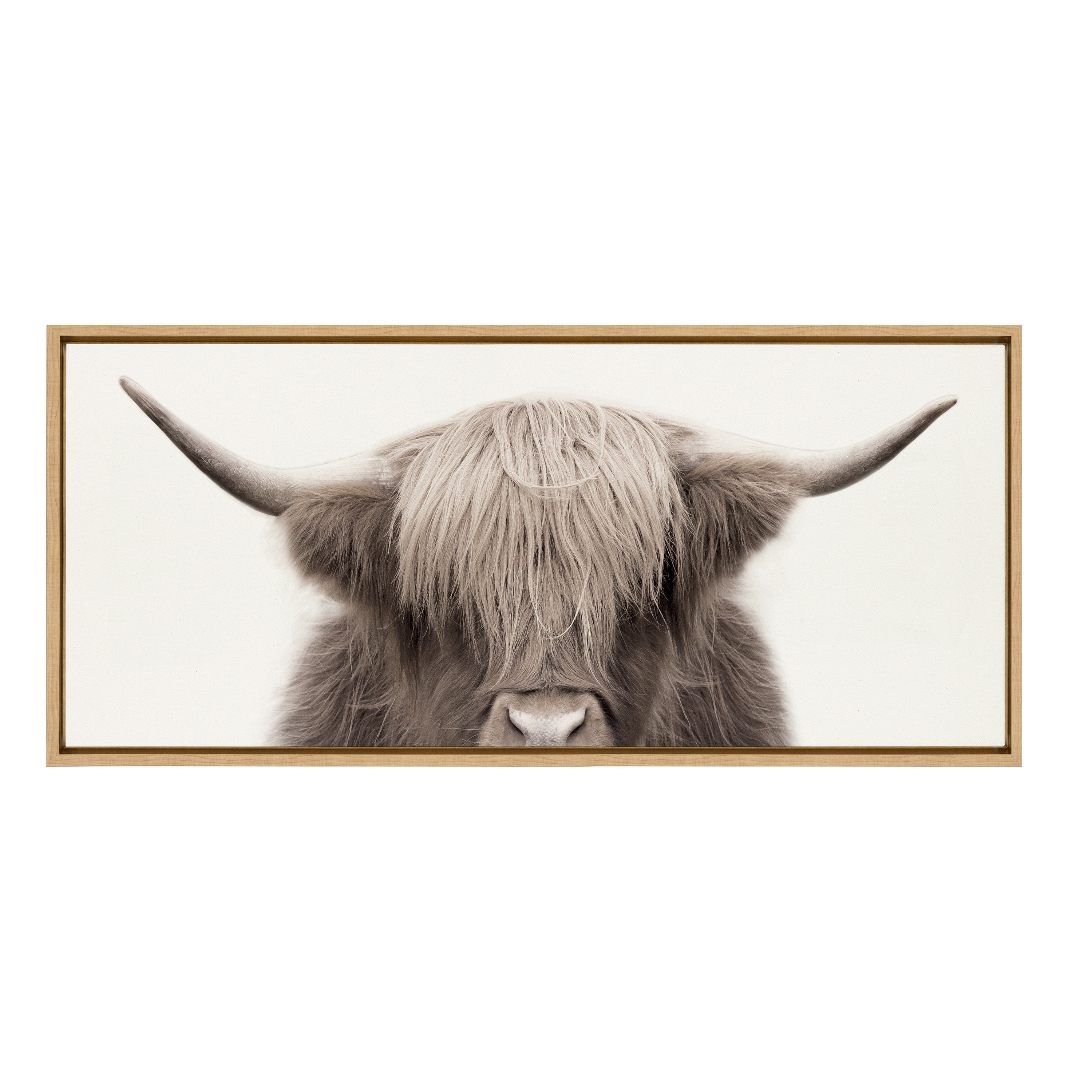 Sylvie Hey Dude Highland Cow Color Framed Canvas by The Creative Bunch Studio