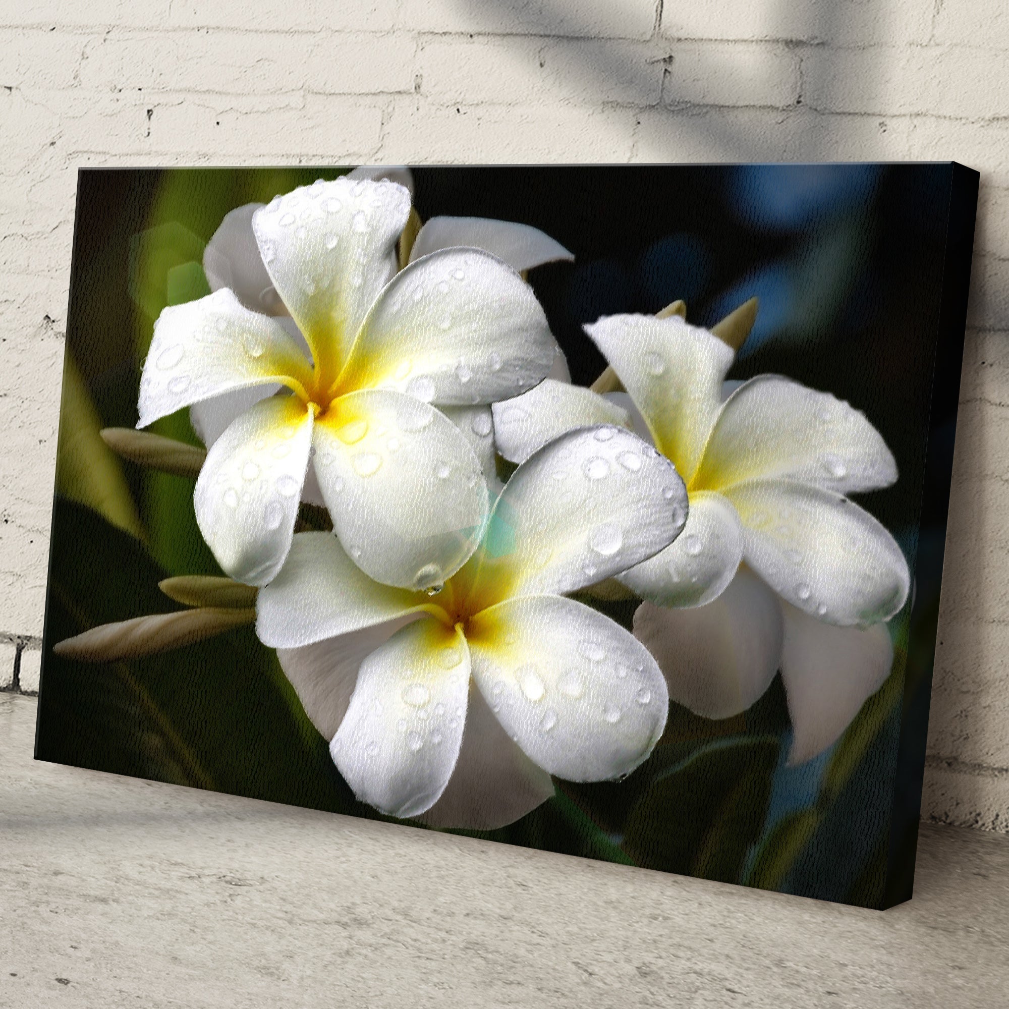 White Frangipani Flower Canvas Wall Art