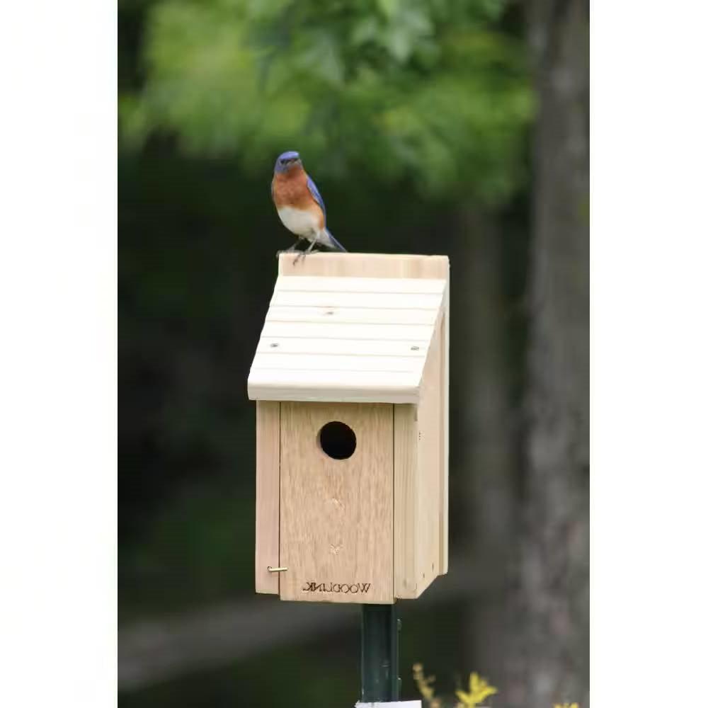 Cedar Wood Birdhouse - Ideal for Eastern Western and Mountain Bluebirds - PRHOMZ