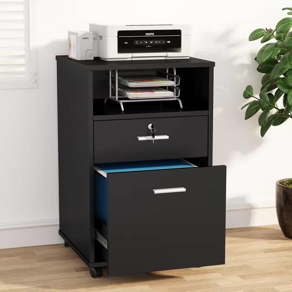 Black Rolling 2-Drawer Mobile File Cabinet Printer Stand Office Cart on Wheels - PRHOMZ