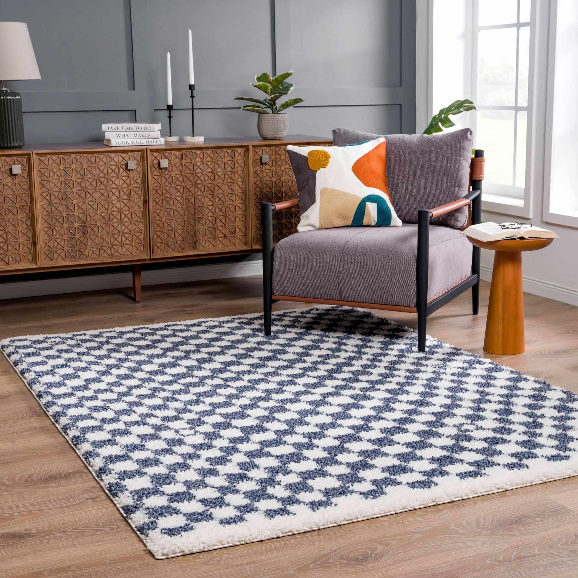 Kieu Blue & White Checkered Area Rug - PRHOMZ