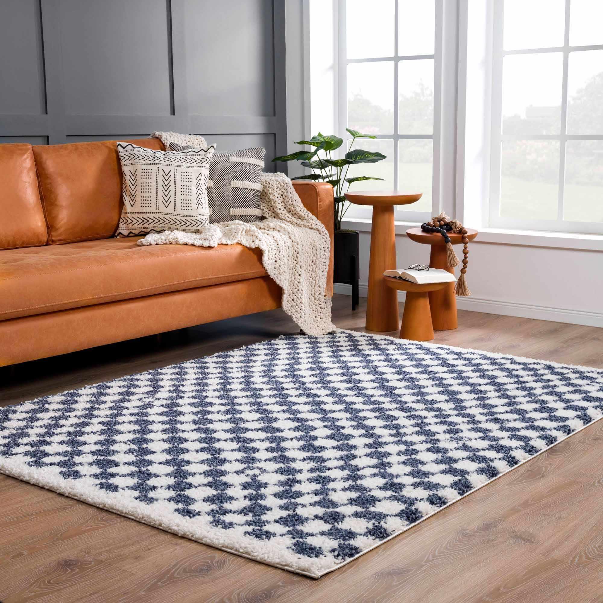 Kieu Blue & White Checkered Area Rug - PRHOMZ
